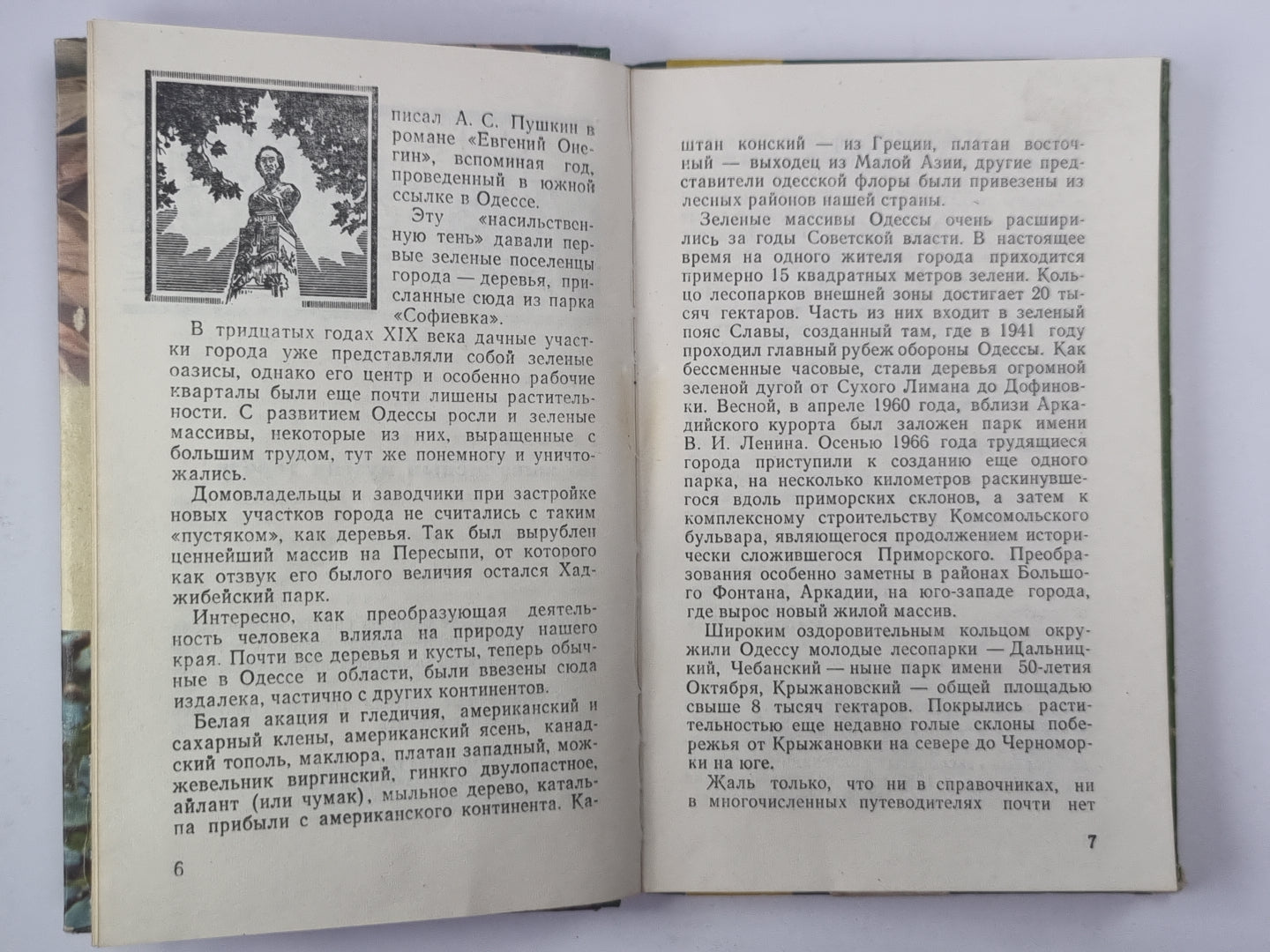 Сокровища южного края