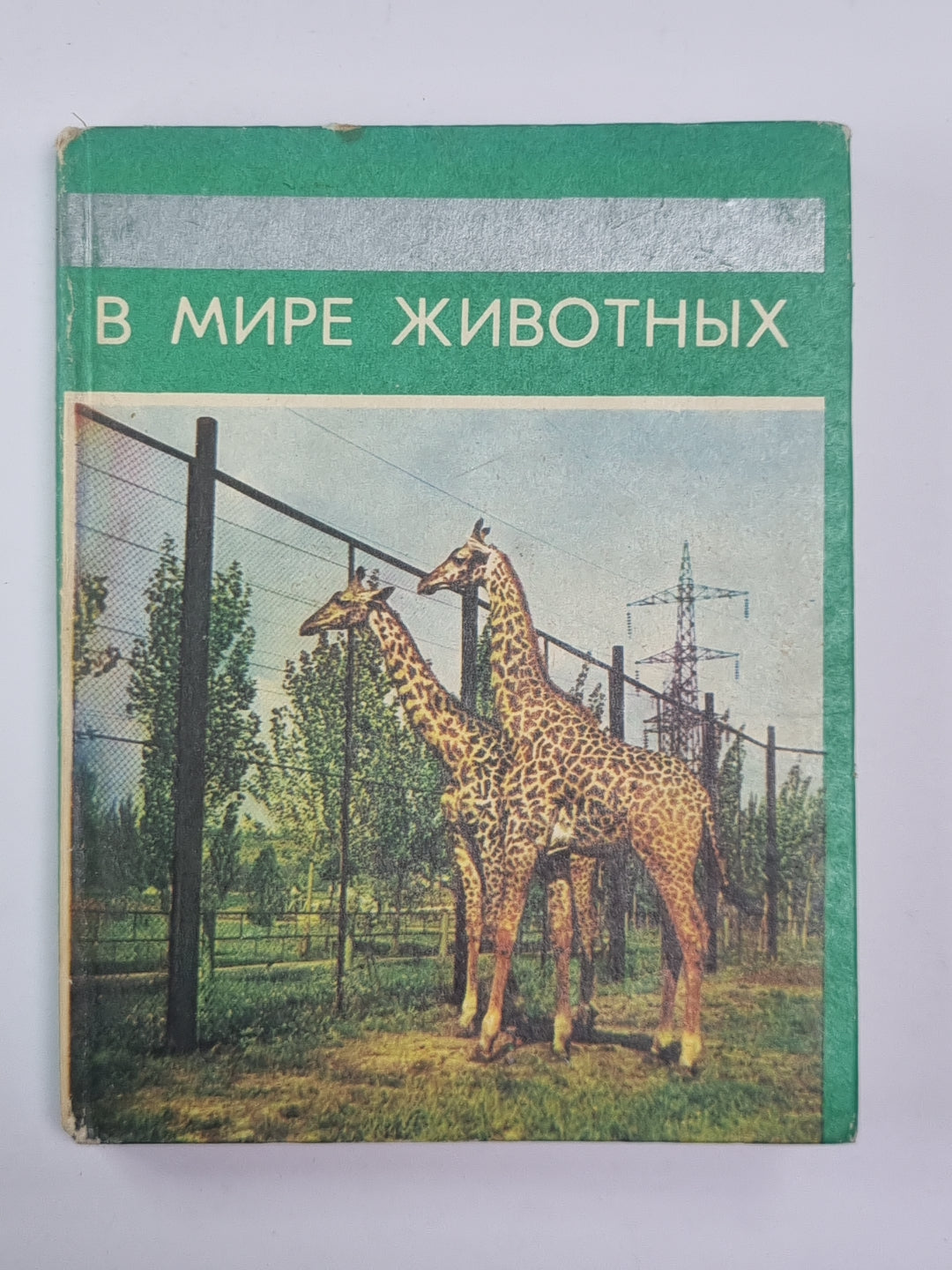 В мире животных