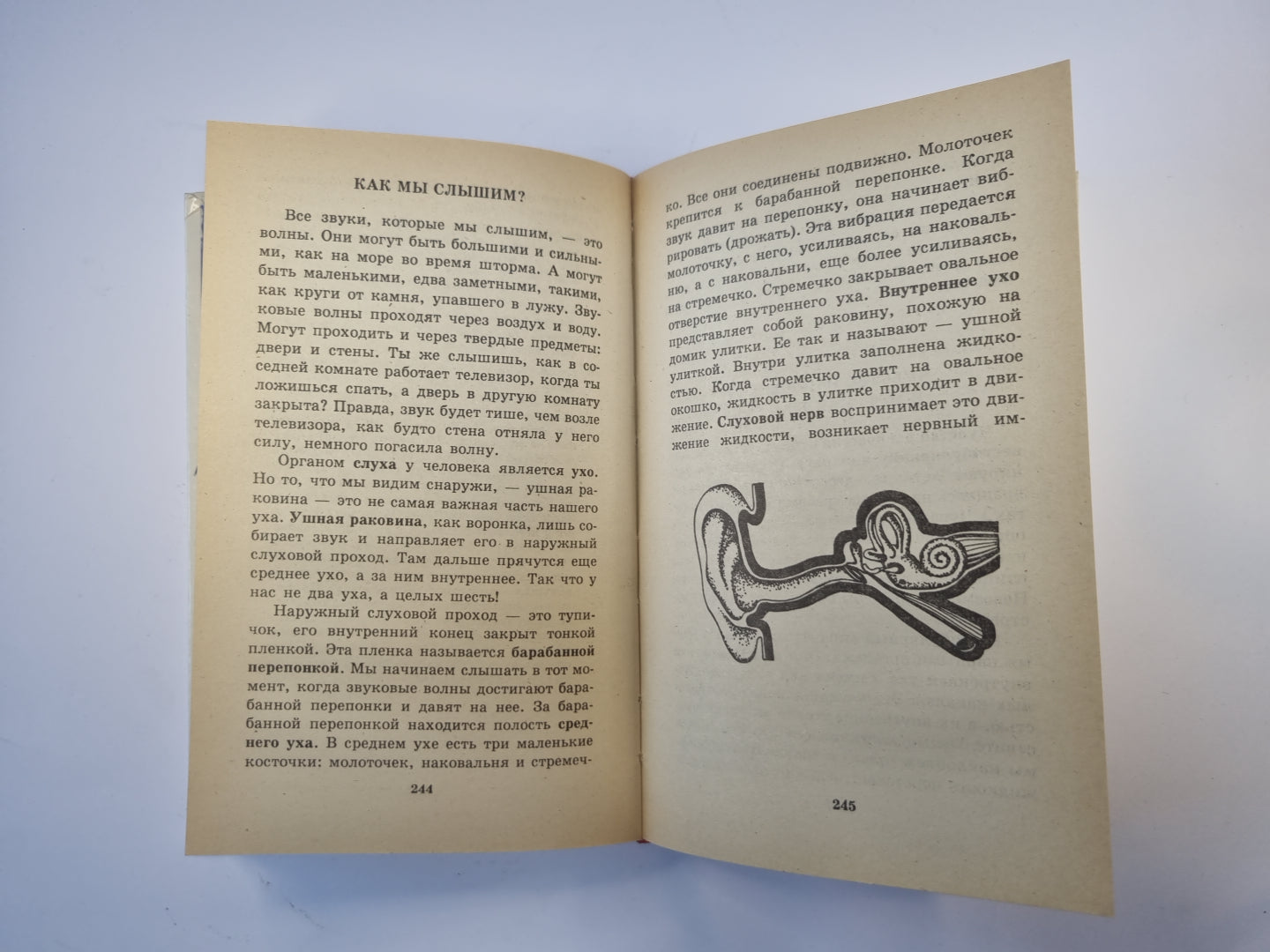 Я познаю мир