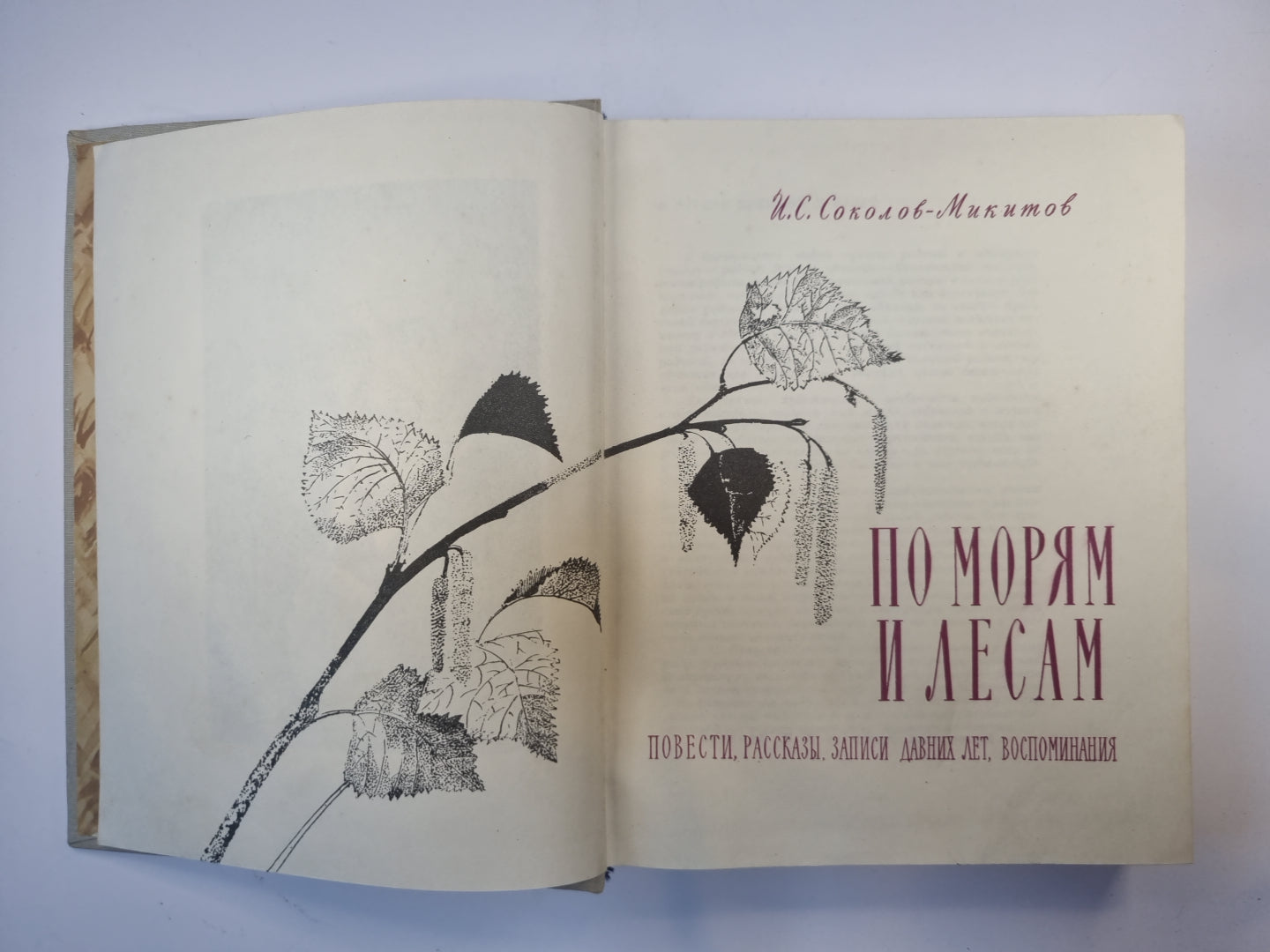 По морям и лесам