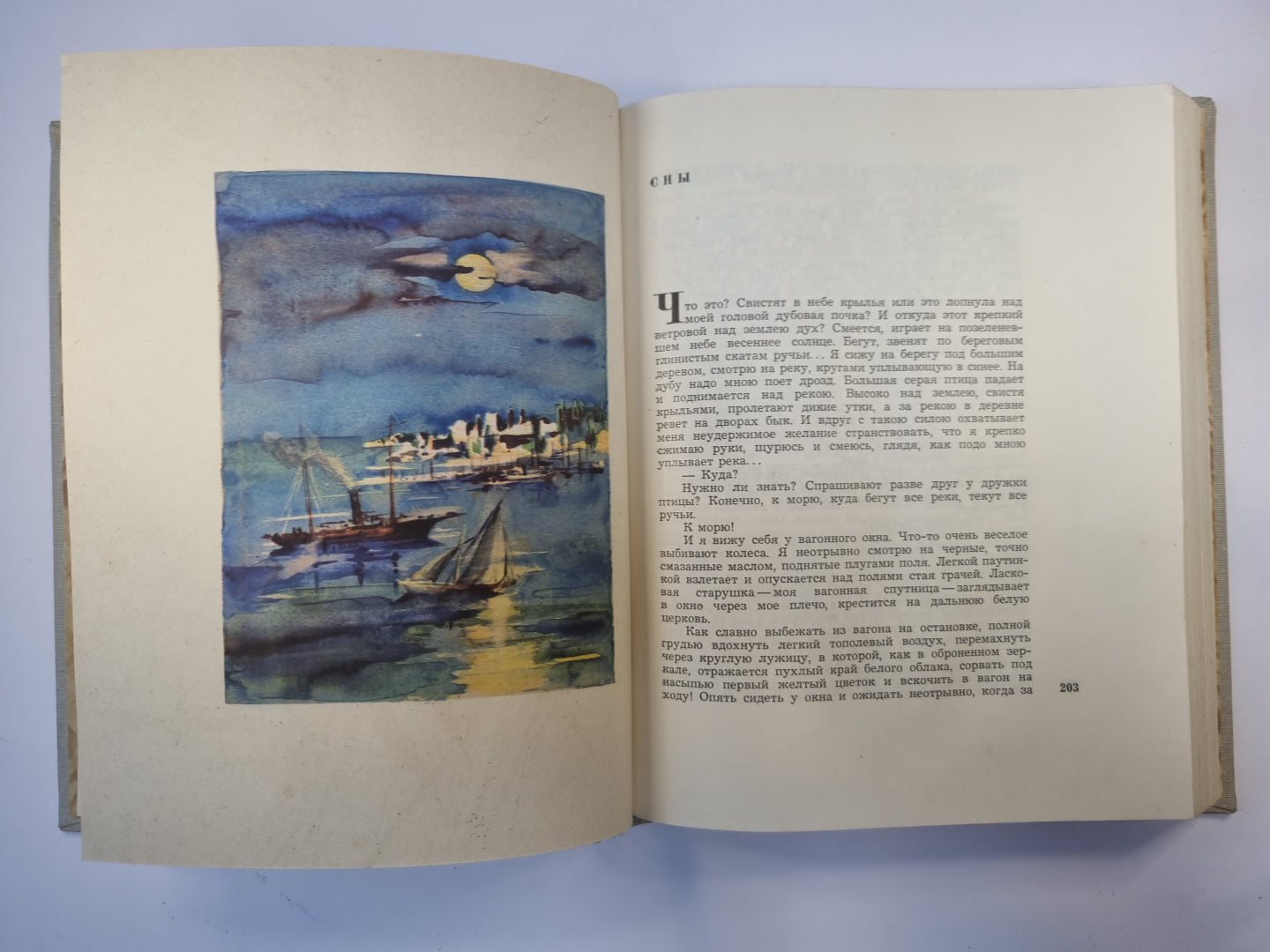 По морям и лесам