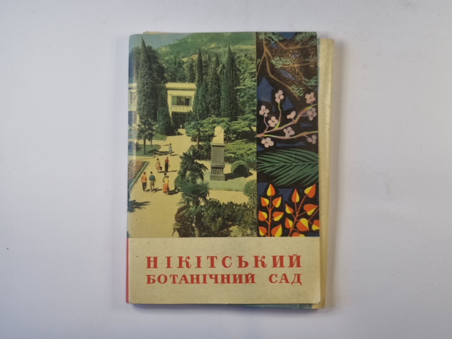 Нiкiтський ботанiчний сад