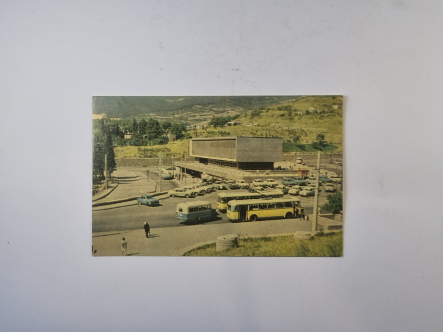 Нiкiтський ботанiчний сад