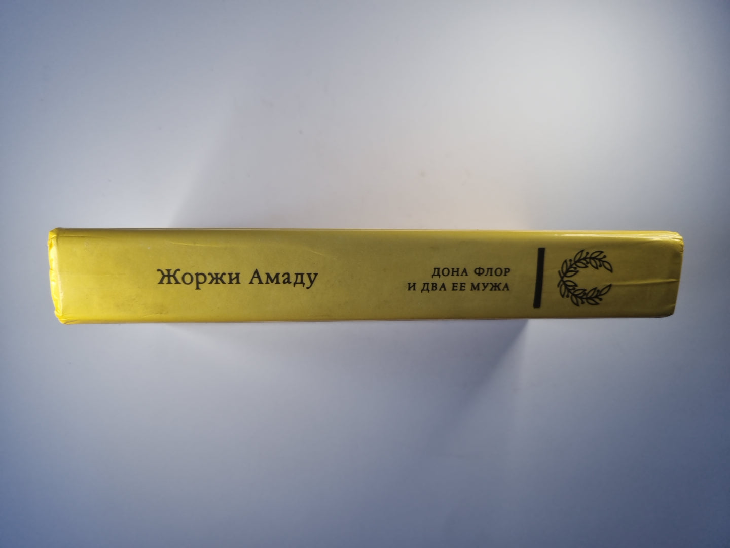 Дона Флор и два ее мужа