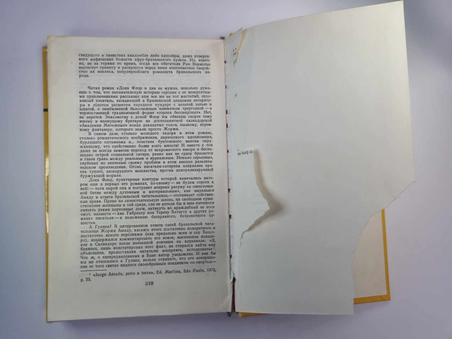 Дона Флор и два ее мужа