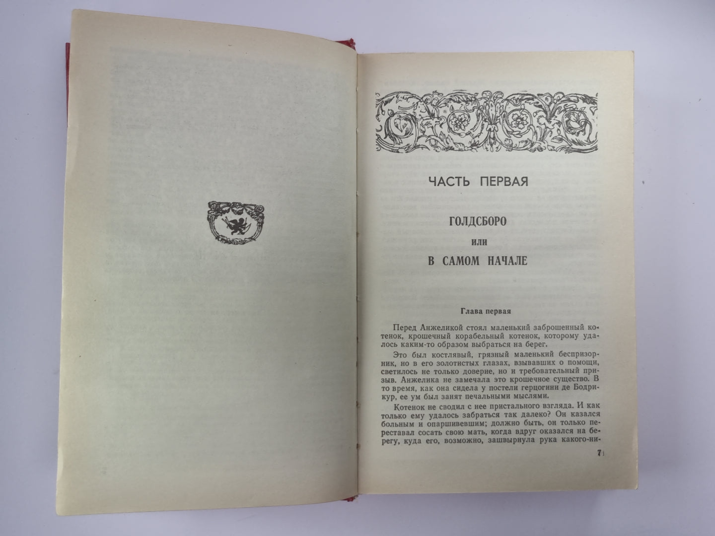 Охота за матерью. Обвинение в убийстве. Тайна семи циферблатов