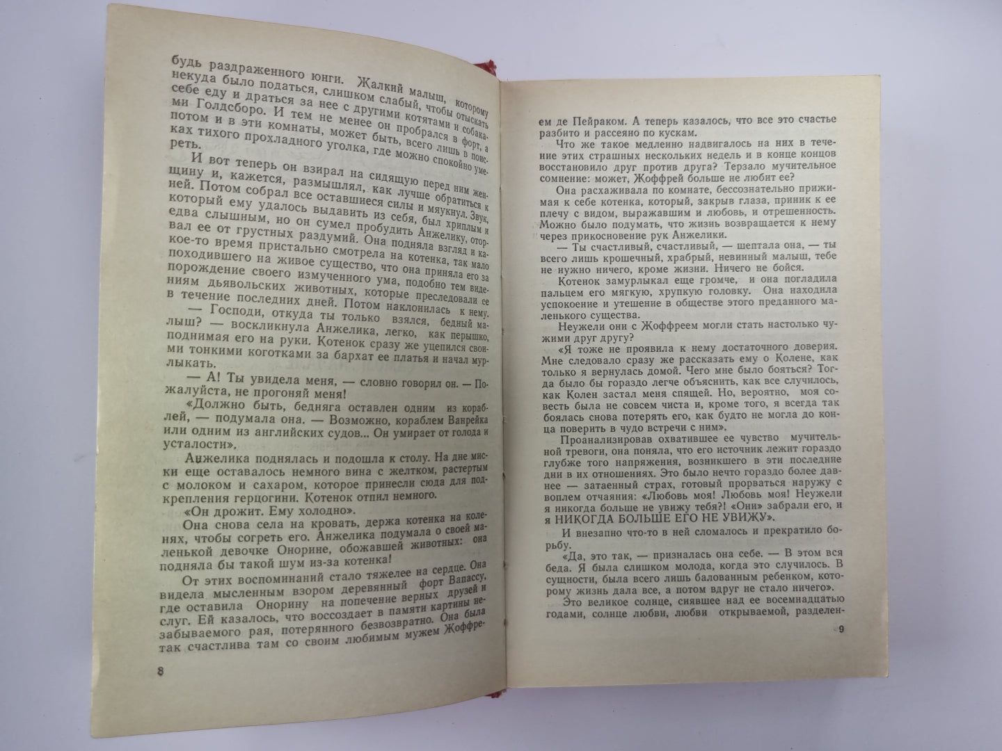 Охота за матерью. Обвинение в убийстве. Тайна семи циферблатов