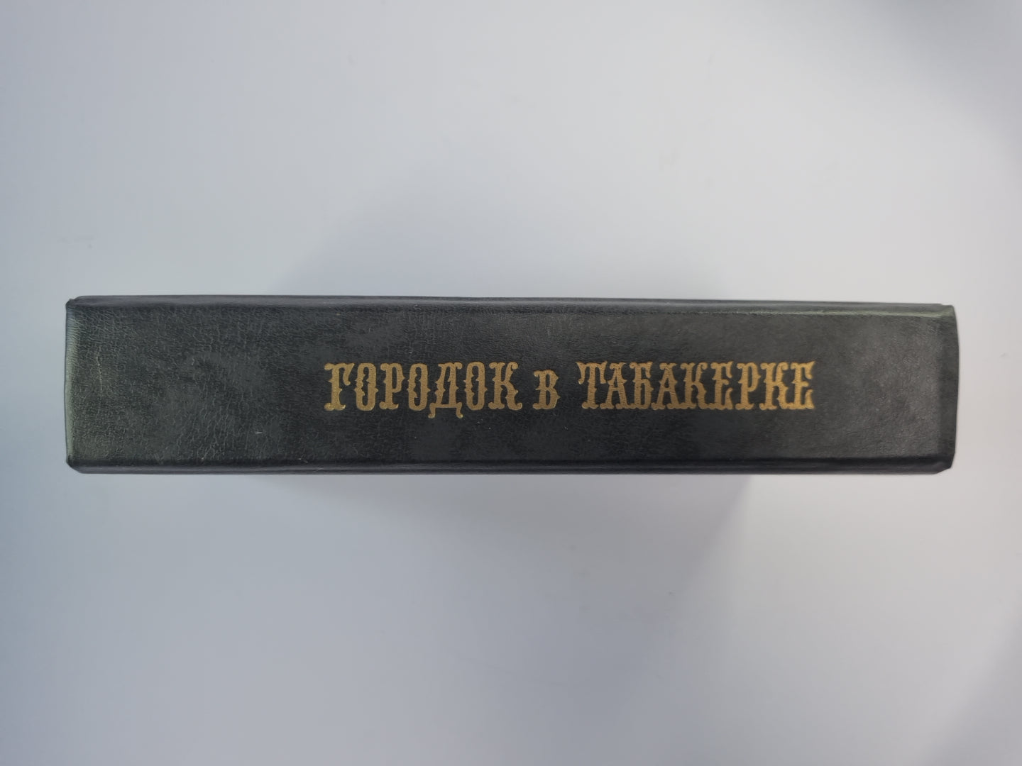 Городок в Табакереке. Сказки русских писателей