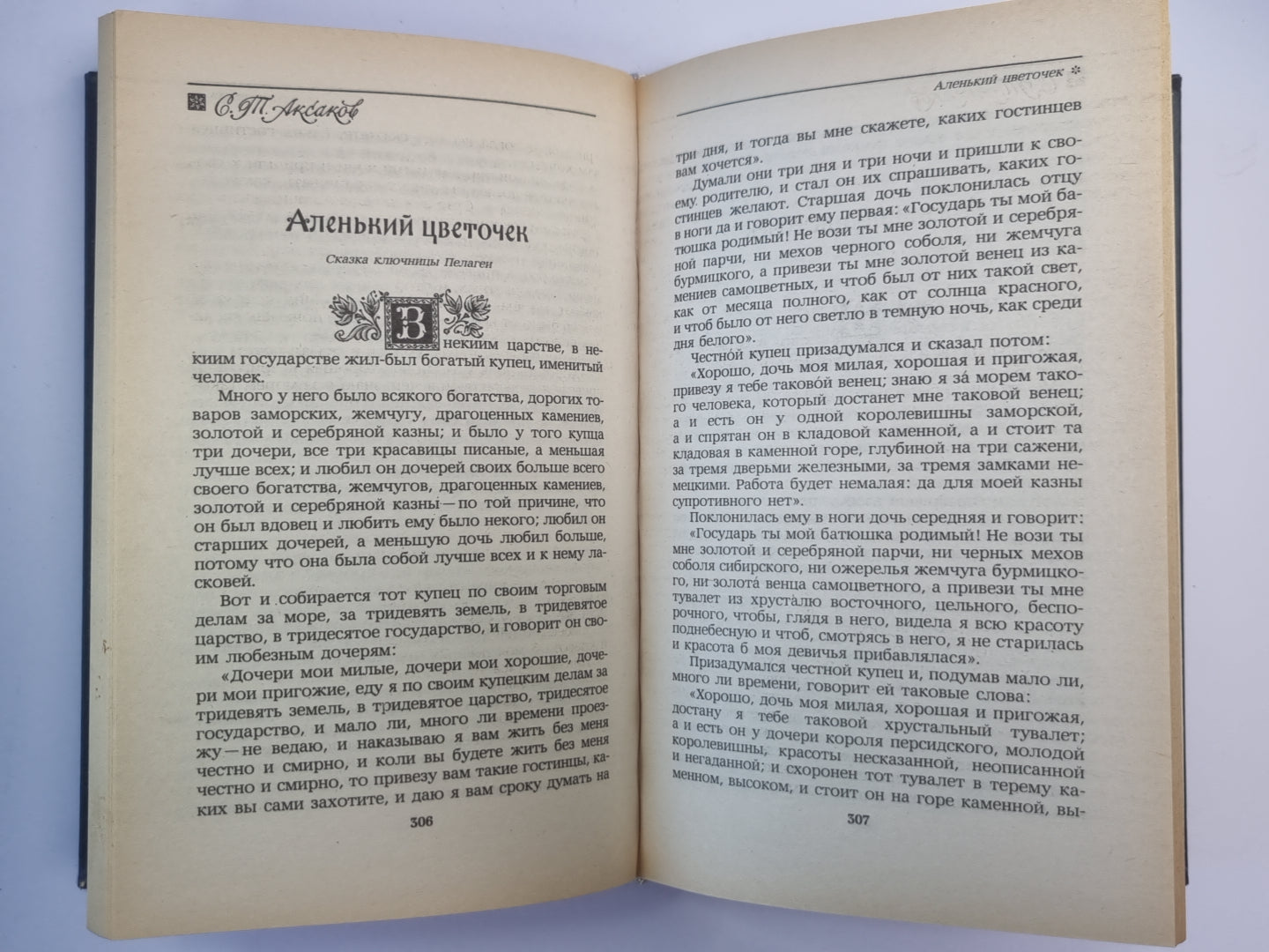Городок в Табакереке. Сказки русских писателей