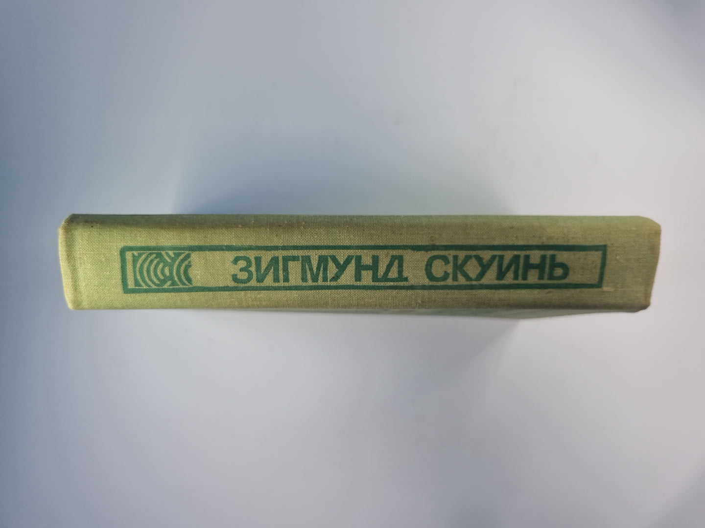 Нагота. Горностай на асфальте