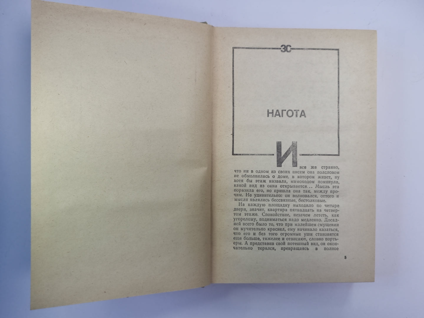 Нагота. Горностай на асфальте