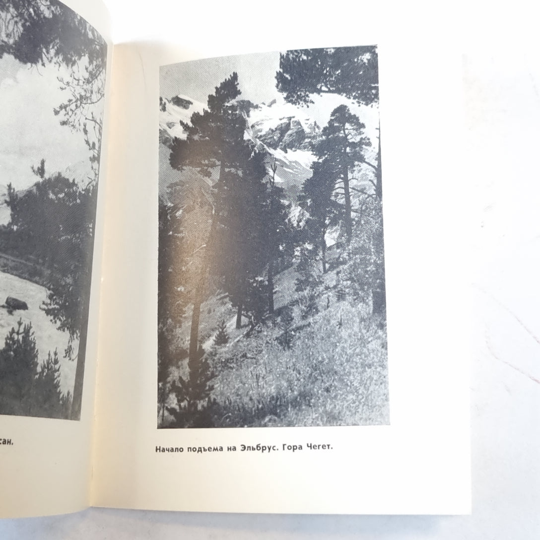 Кисловодский терренкур. Ближний туризм