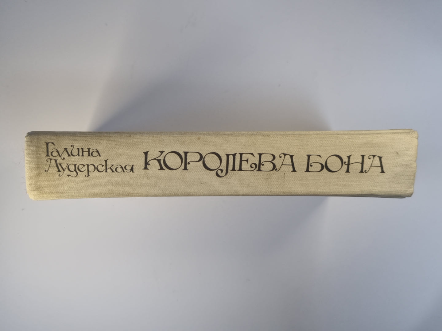 Coroleva Bona. Dragon en herbe