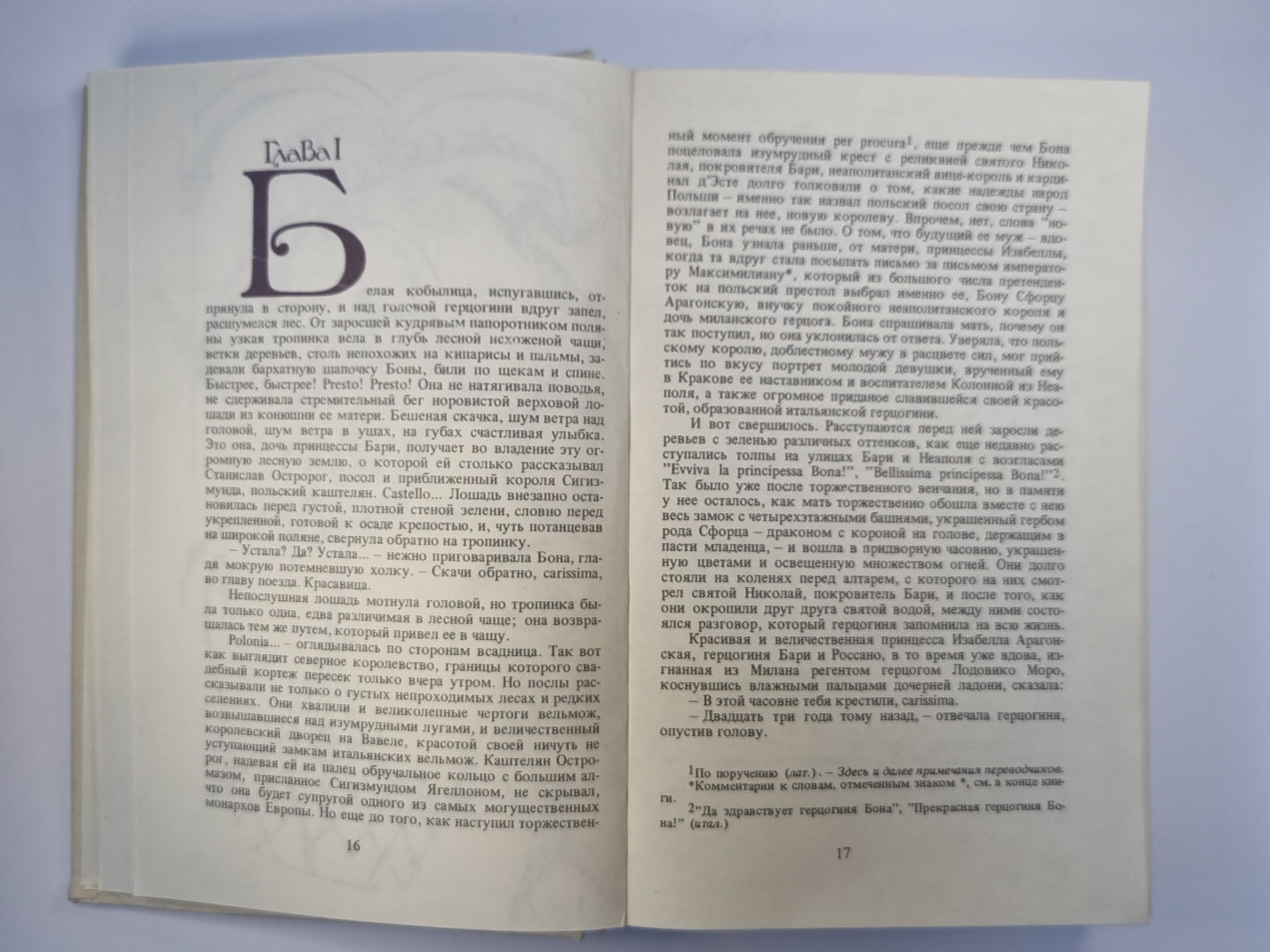 Coroleva Bona. Dragon en herbe