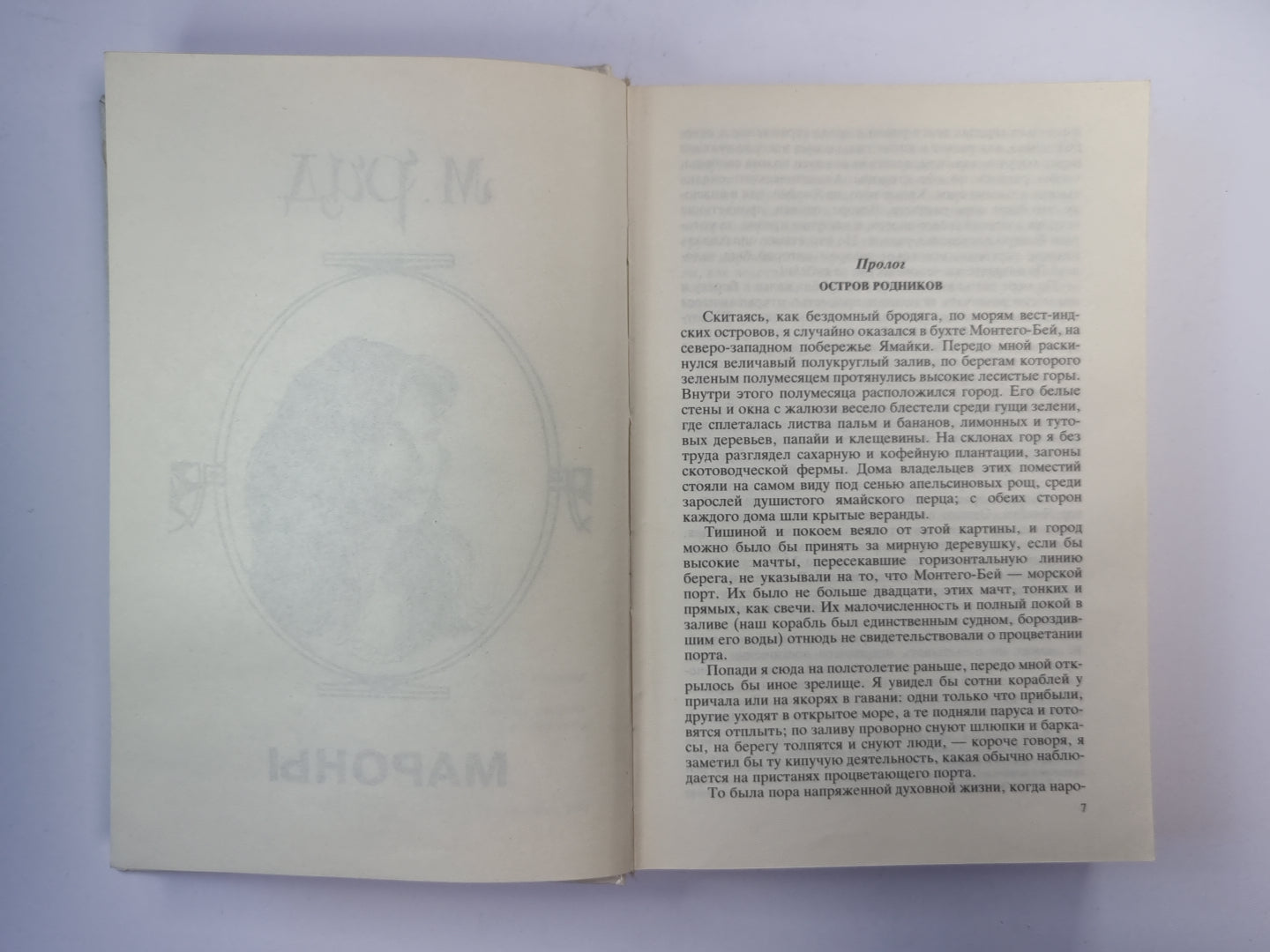 Мароны. Вамирэх