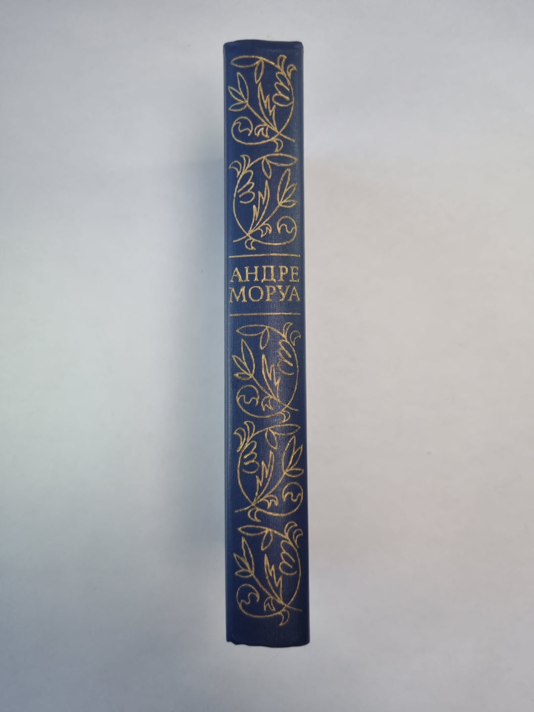 Олимпио, или жизнь Виктора Гюго