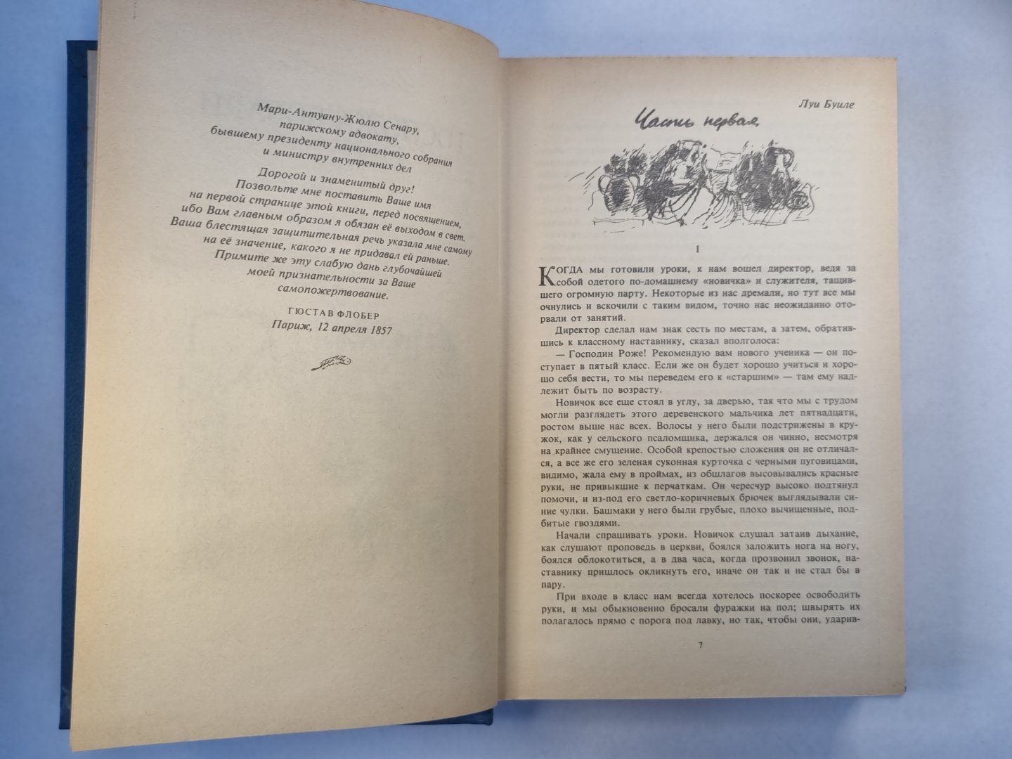 Госпожа Бовари. Саламбо