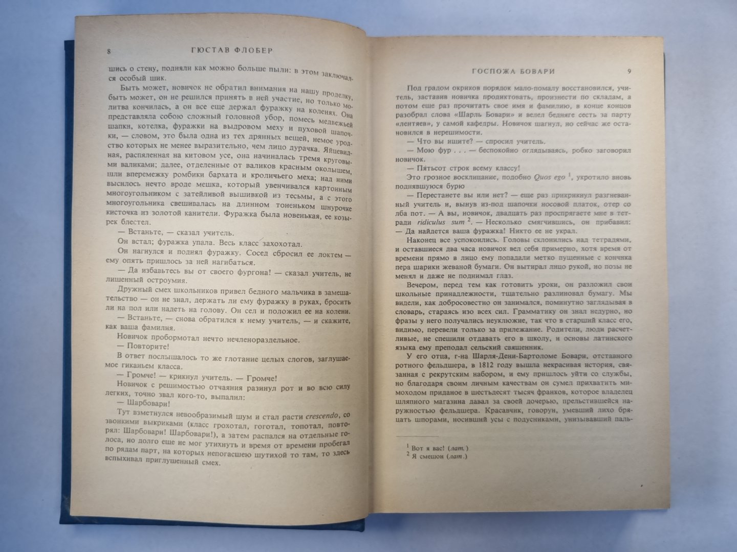 Госпожа Бовари. Саламбо