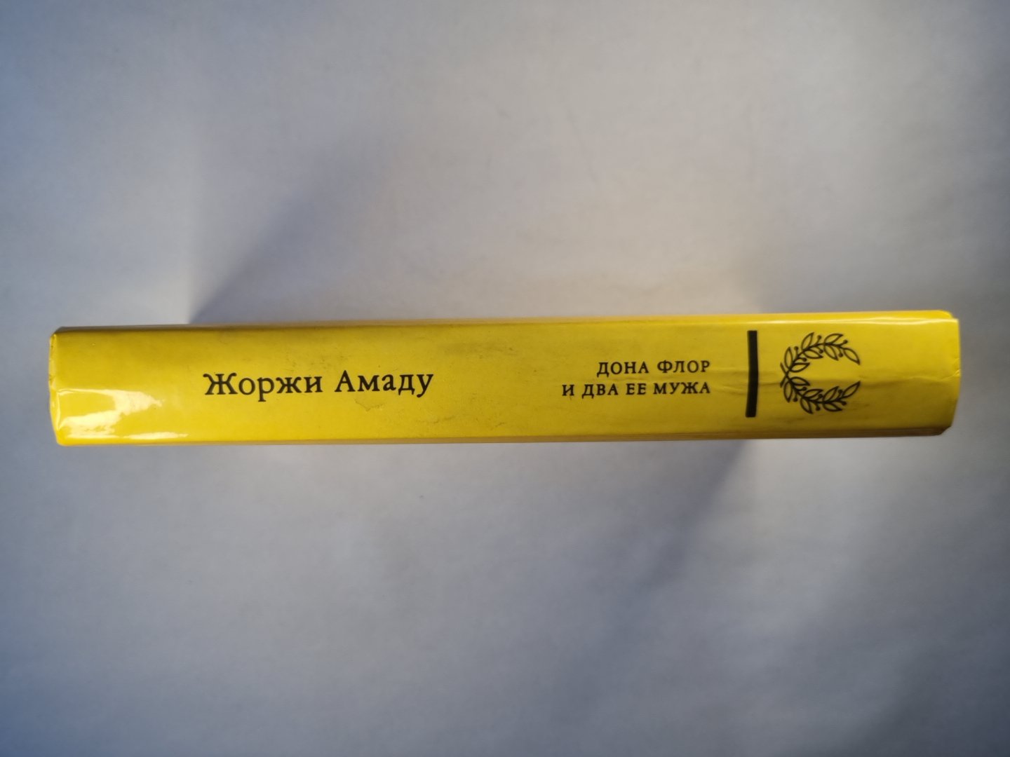 Дона Флора и два ее мужа