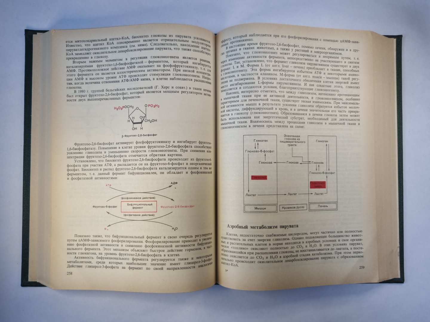 Биологическая химия