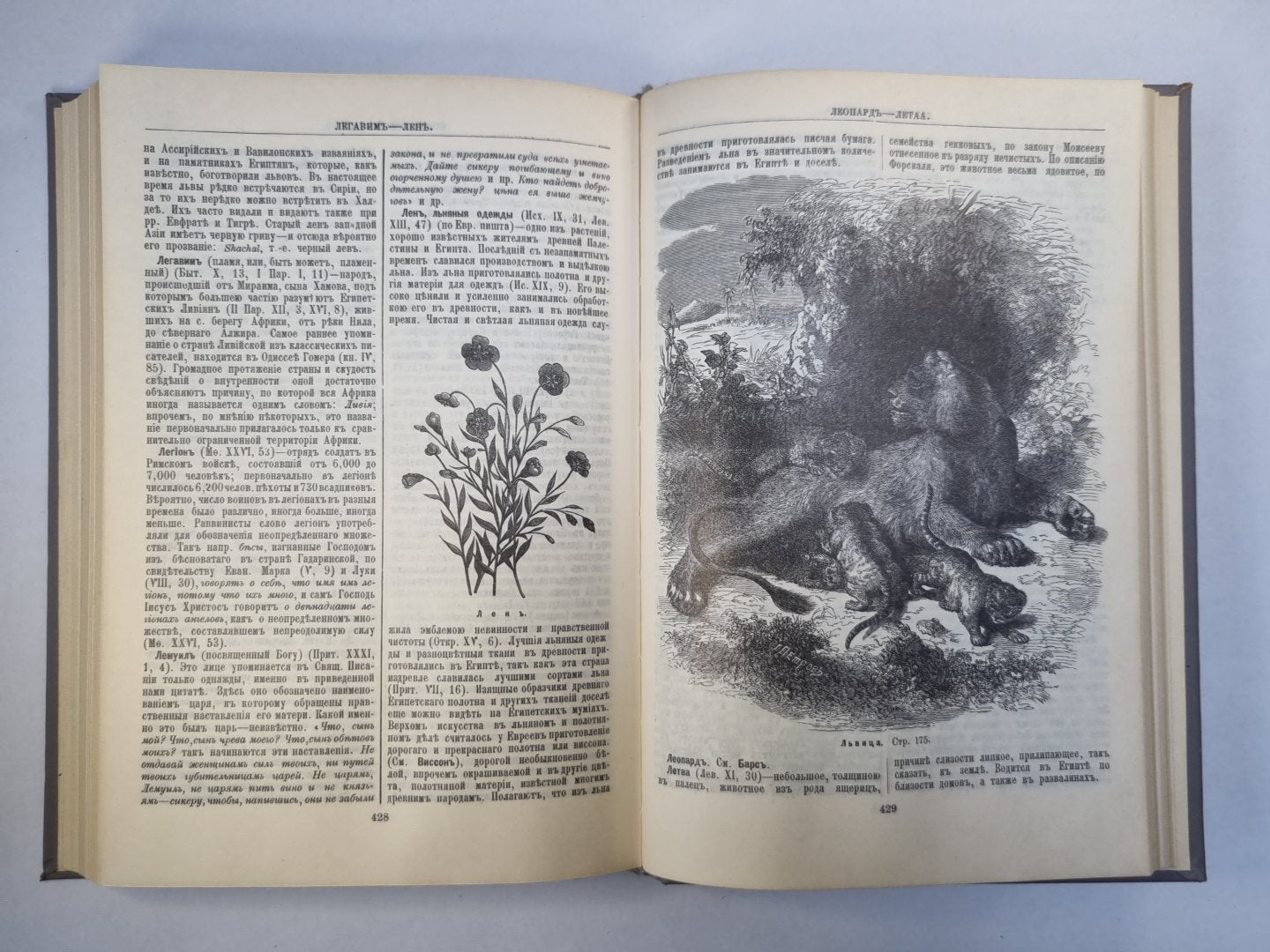 Библейская энциклопедия. Книга 1