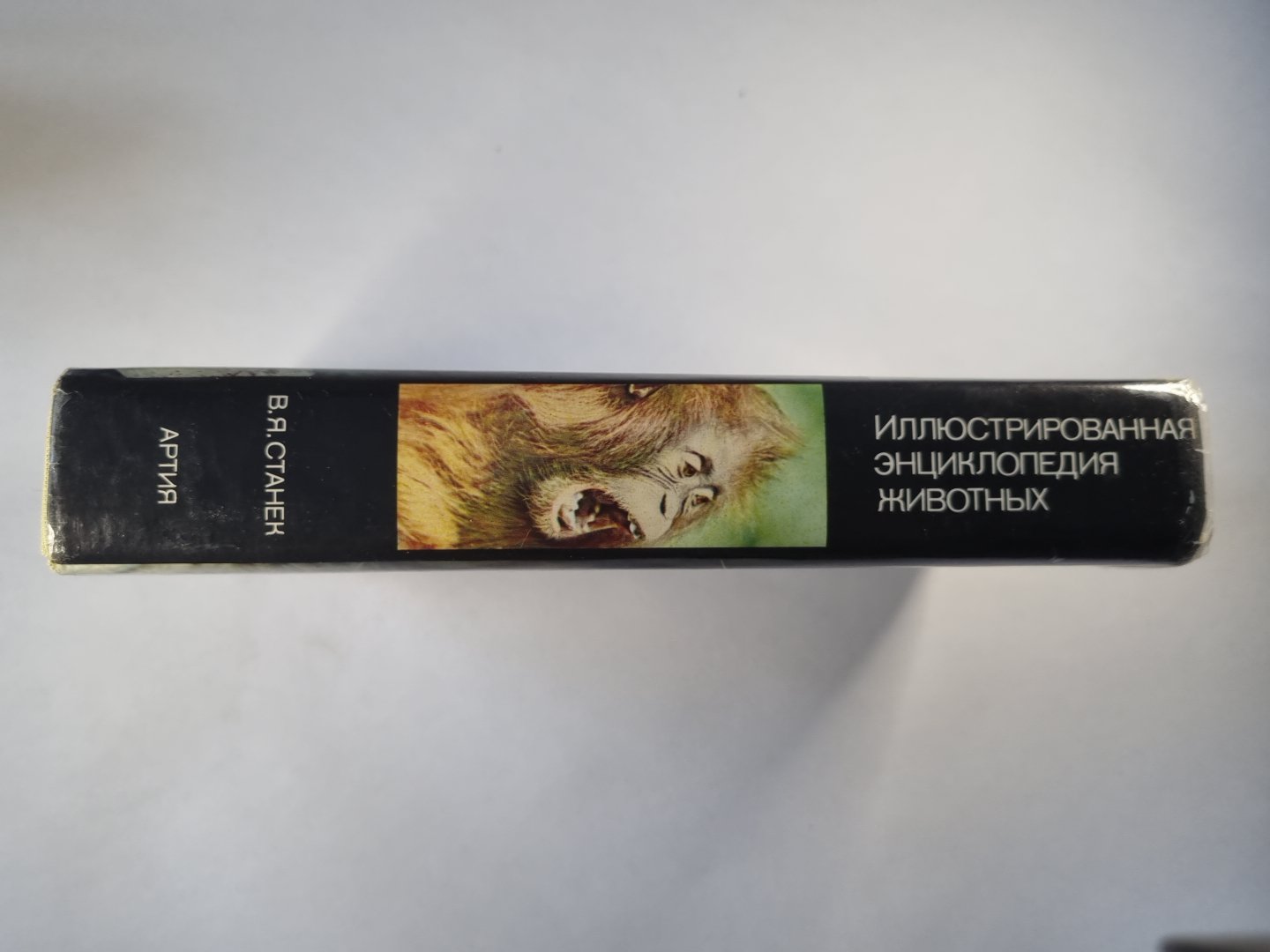 Иллюстрированная энциклопедия животных