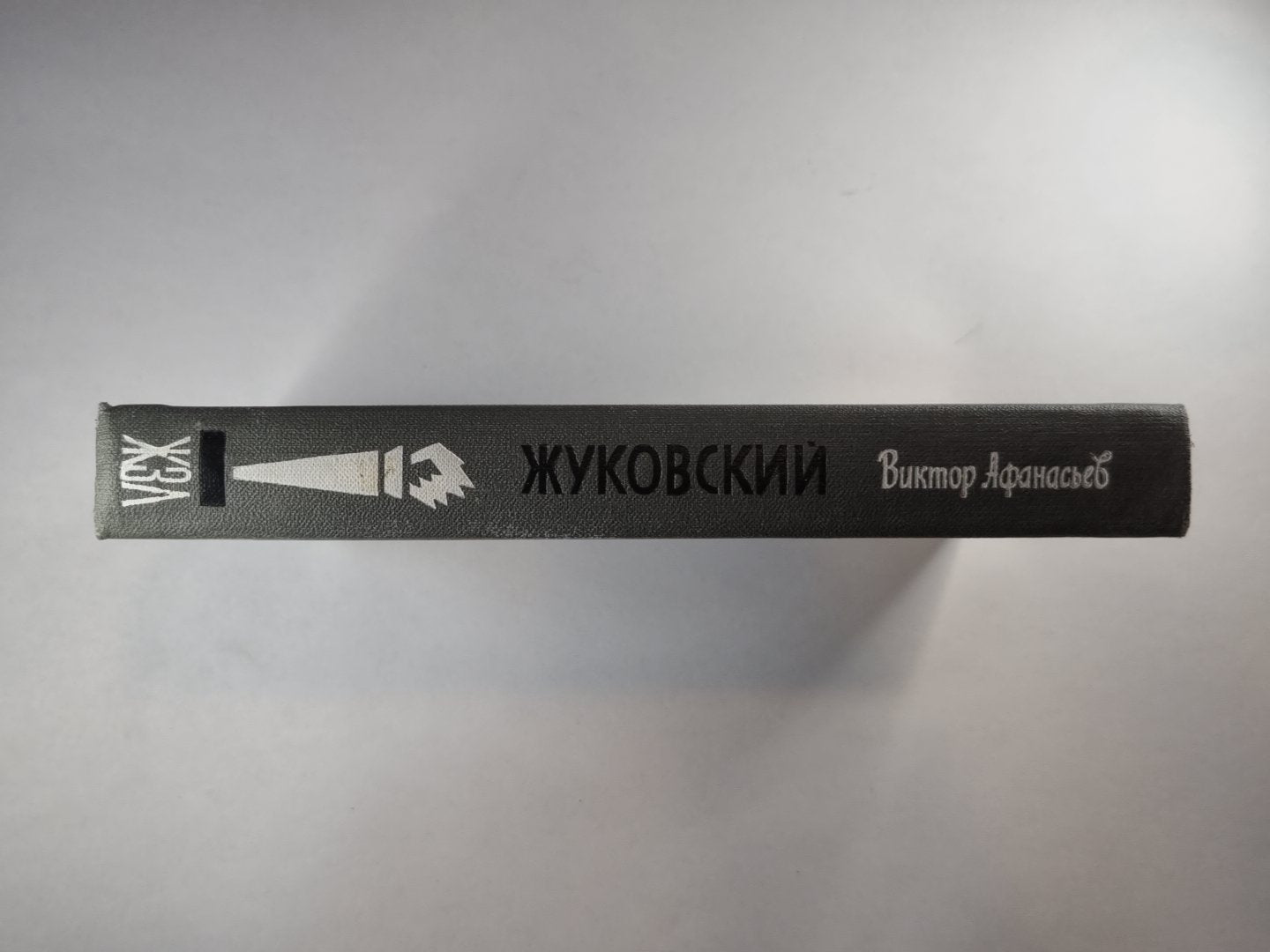 Жуковский. Жизнь замечательных людей