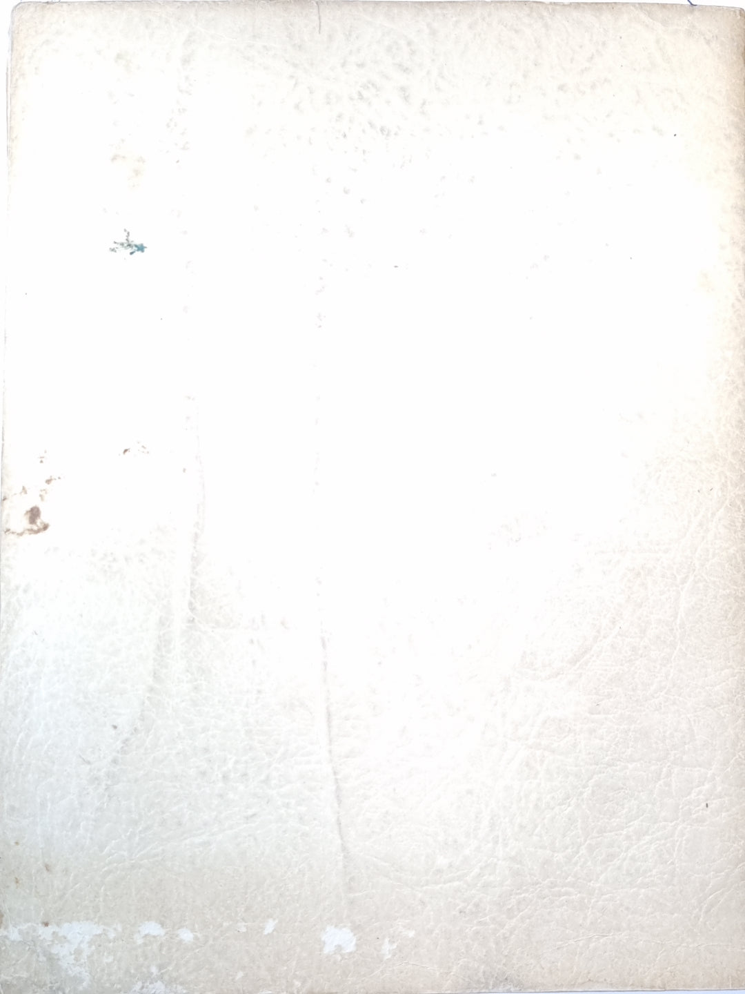 ТЕОРИЯ и ПРОБЛЕМЫ НАЧЕРТАТЕЛЬНОЙ ГЕОМЕТРИИ (АНГЛ.)