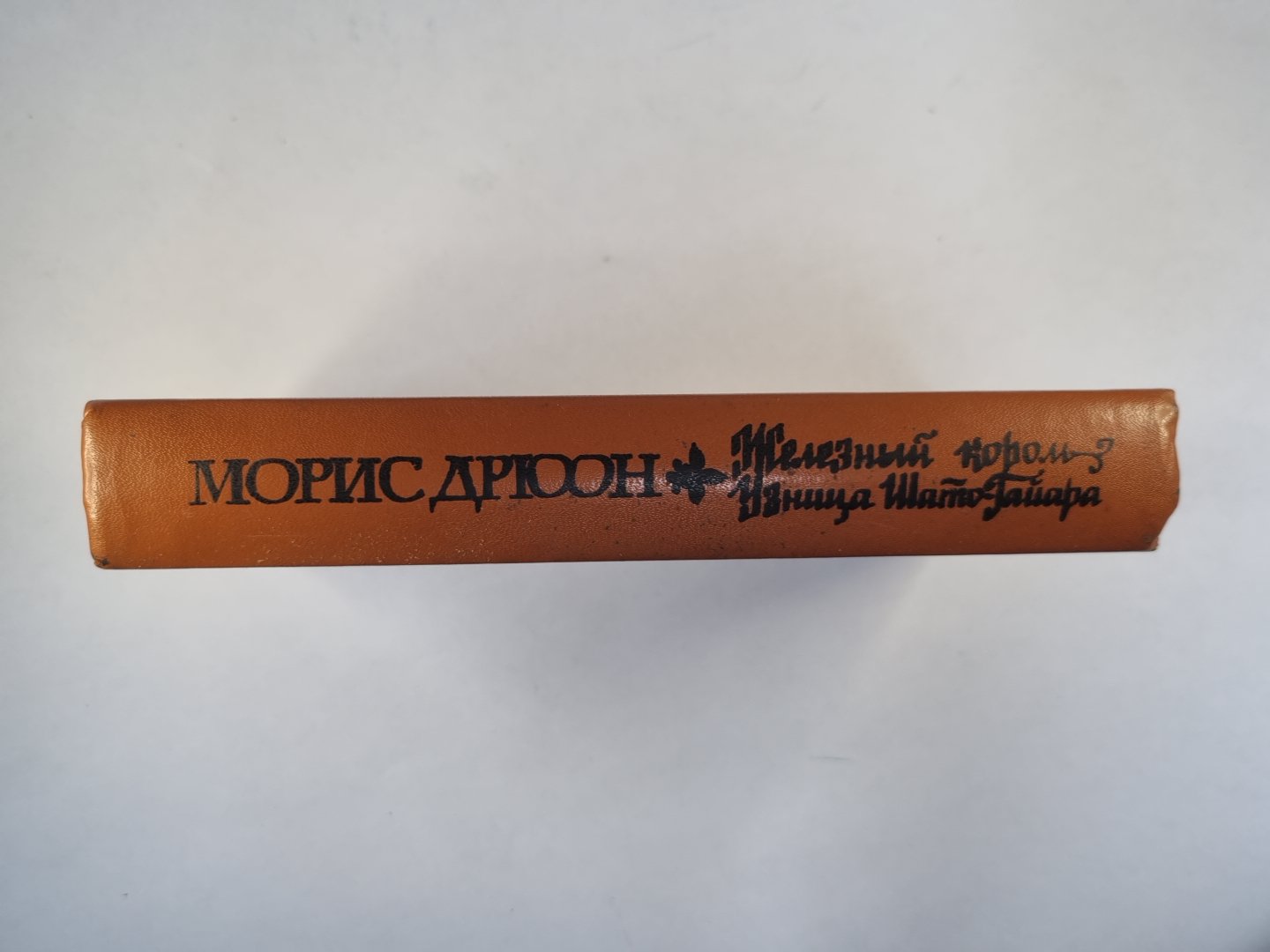 Железный король. Узница Шато-Гайра