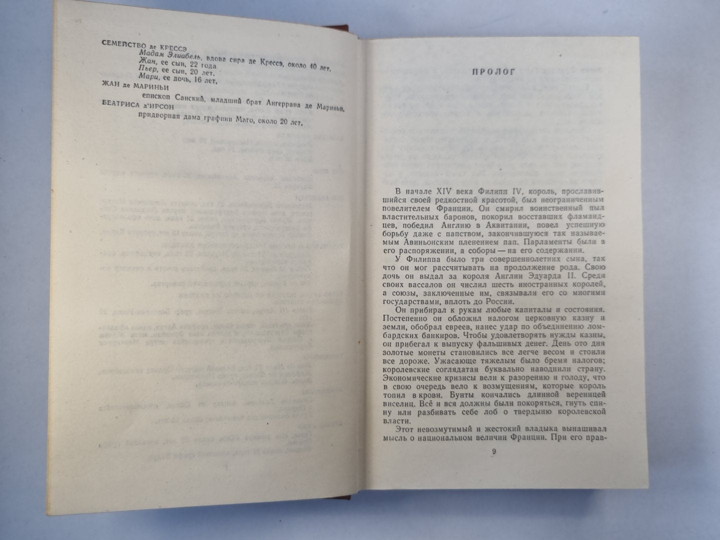 Железный король. Узница Шато-Гайра