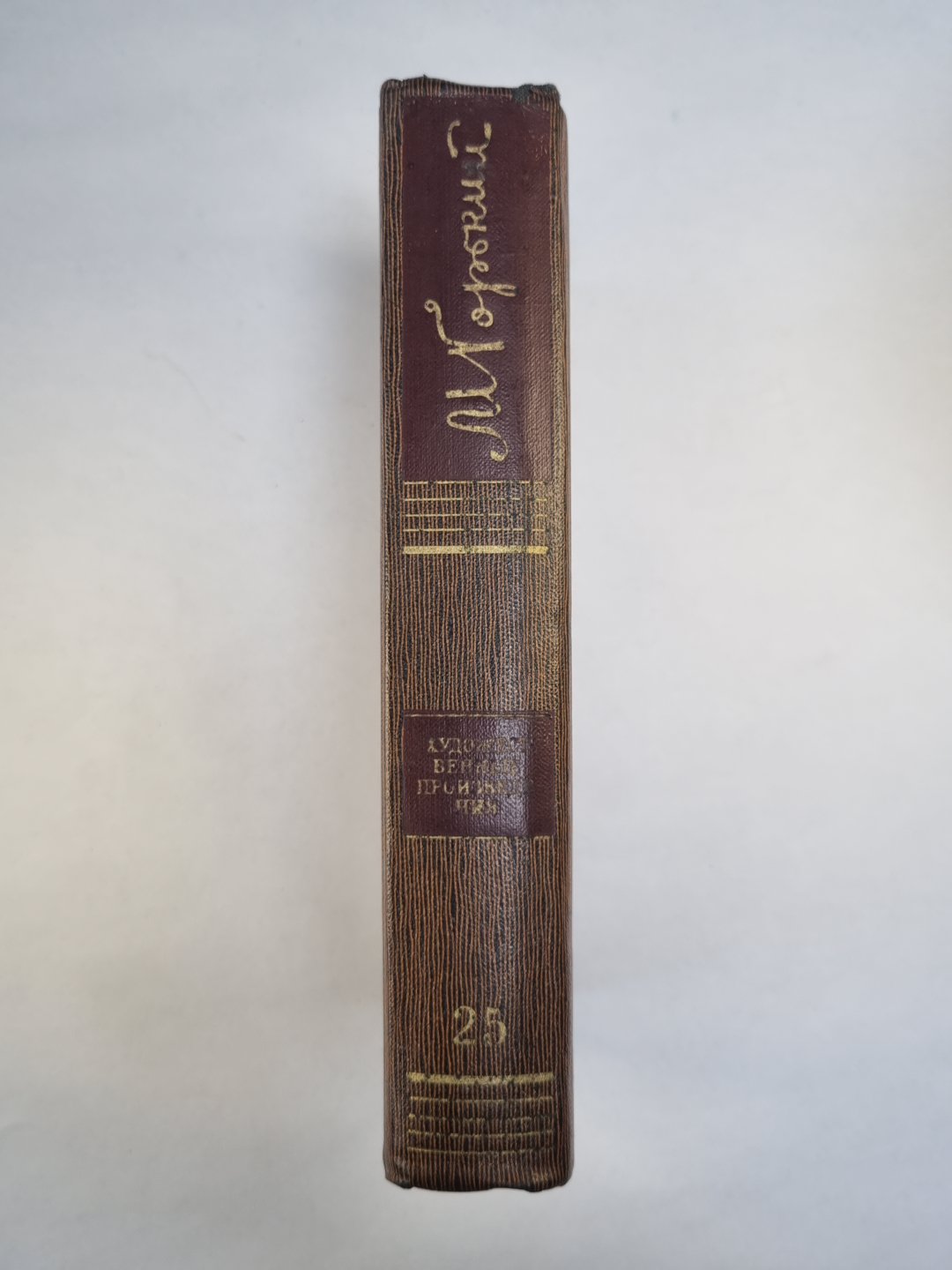 Жизнь Клима Самгина. Заметки, наброски. Полное собрание сочинений М.Горького. Том 25