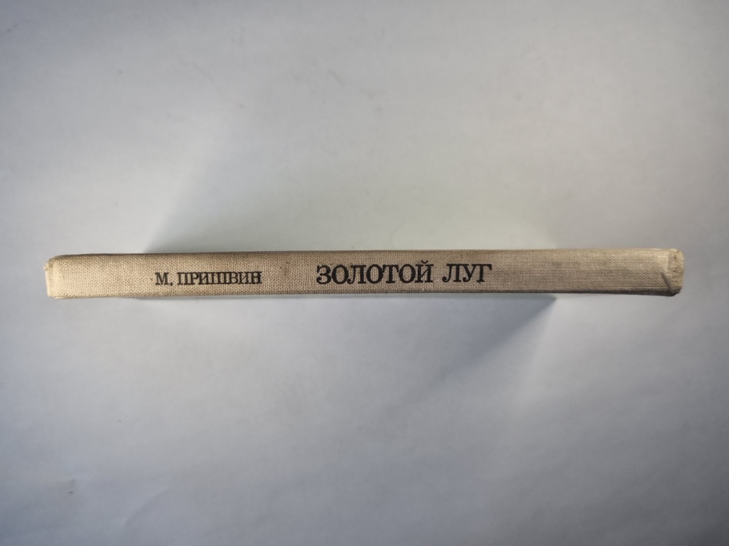 Золотой луг. Рассказы и повести