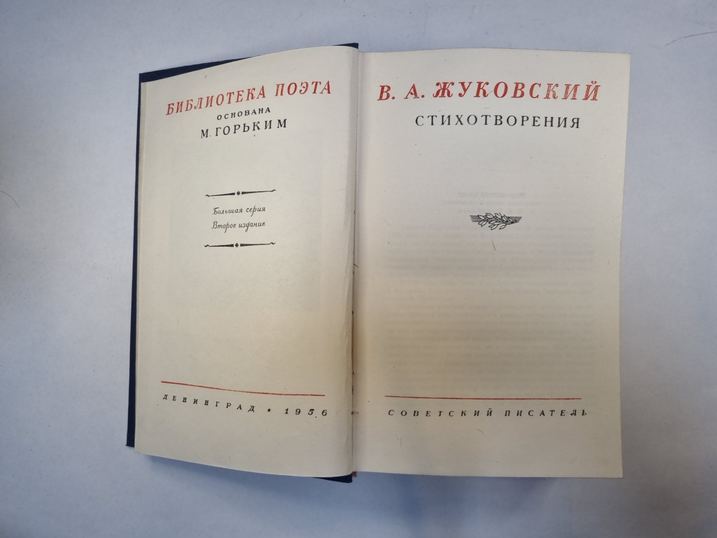Стихотворения (Серия "Библиотека поэта")