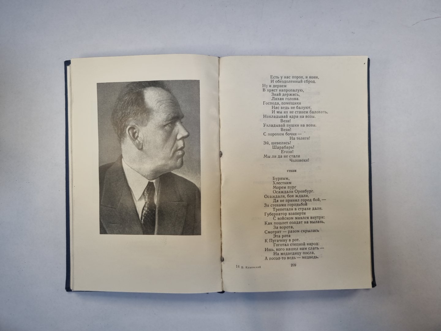 Стихотворения и поэмы (Серия "Библиотека поэта")
