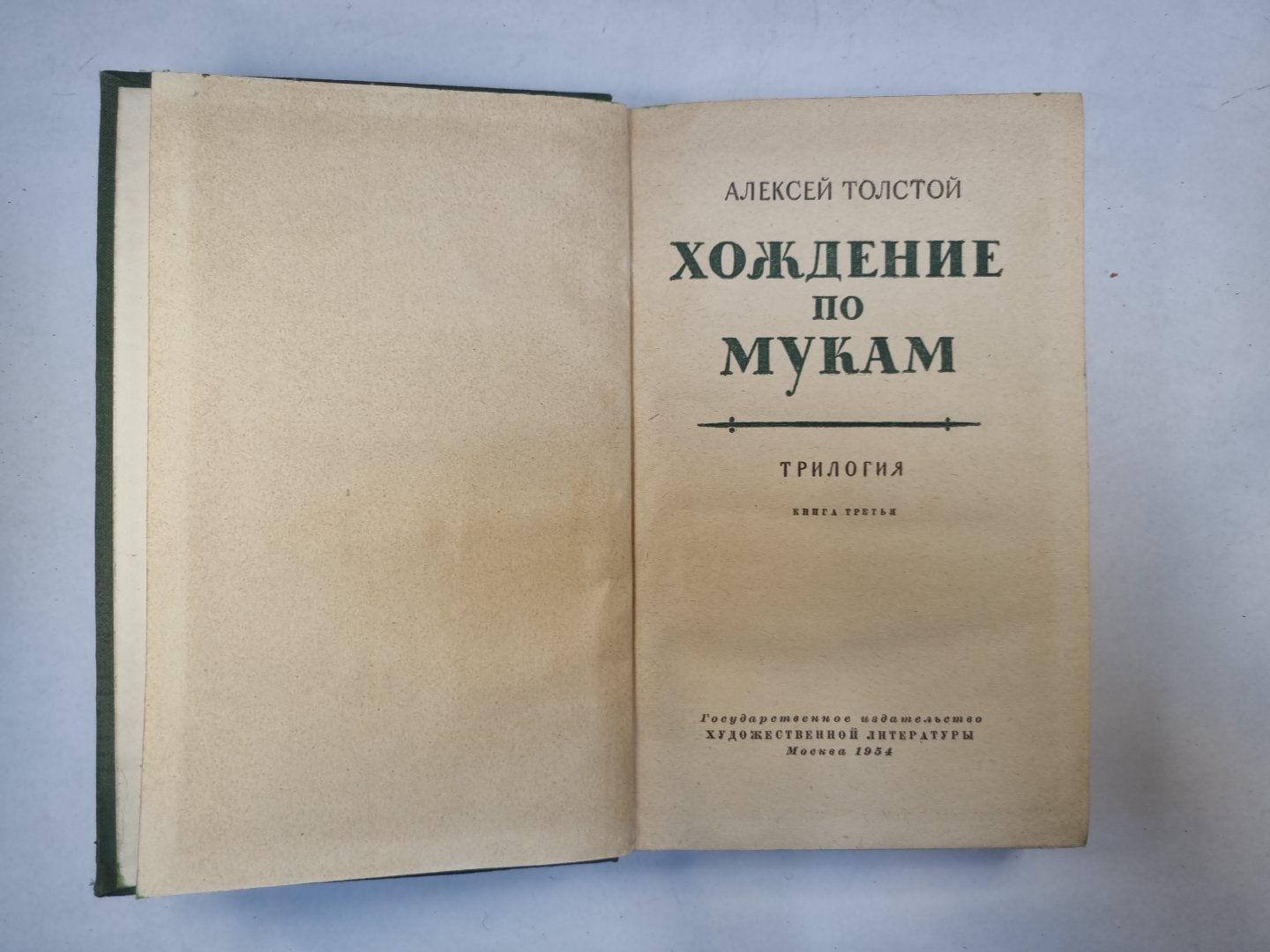 Хождение по мукам. Книга 3