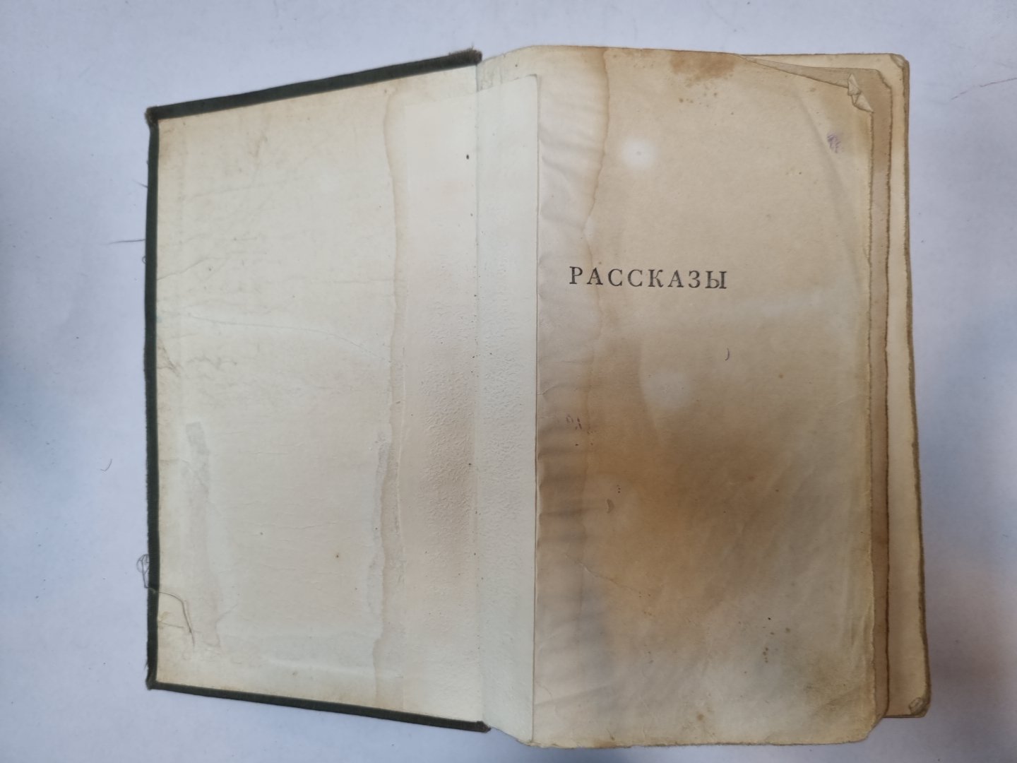Рассказы