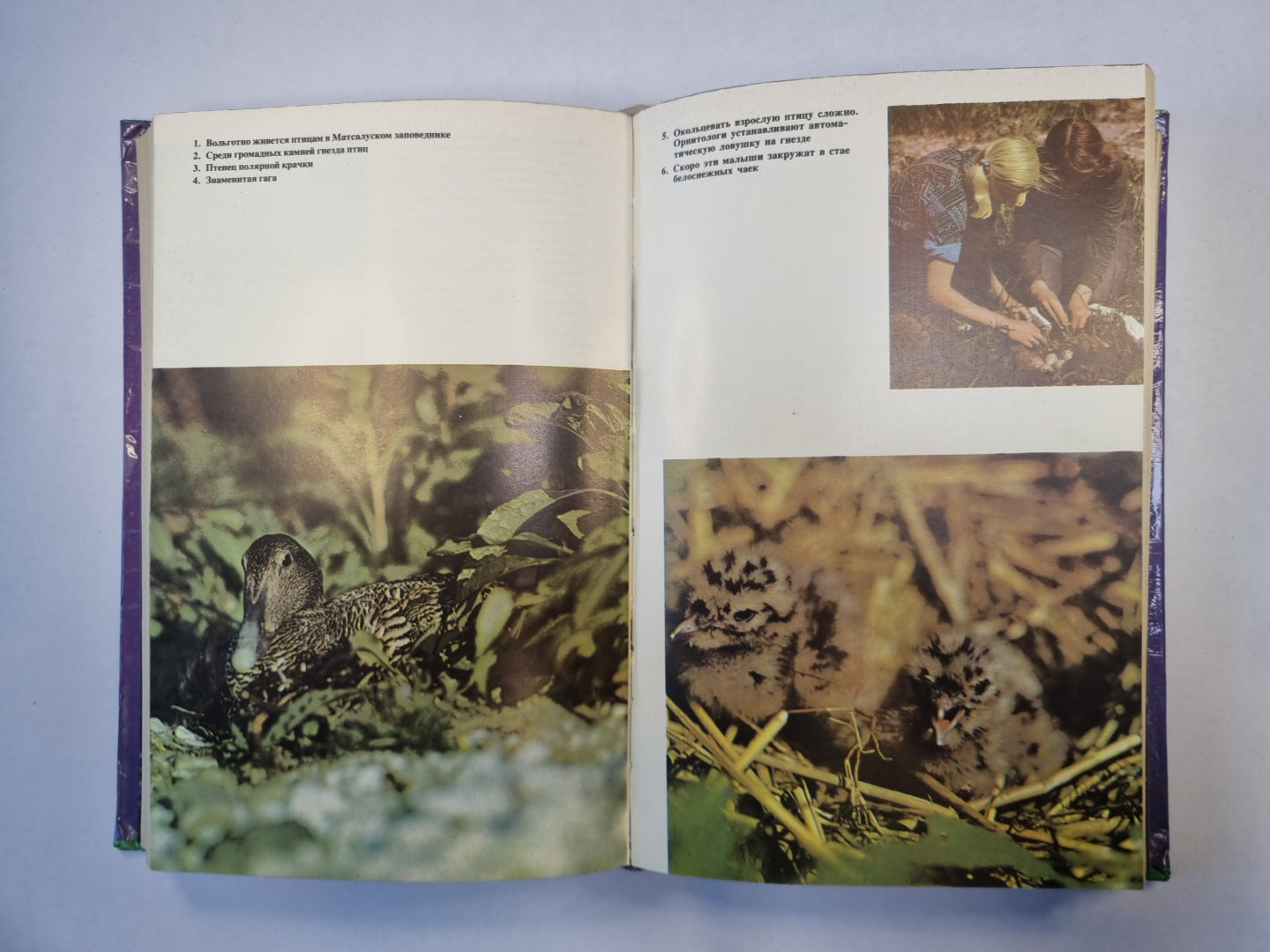 На суше и на море. 1977. Художественно-географическая книга.