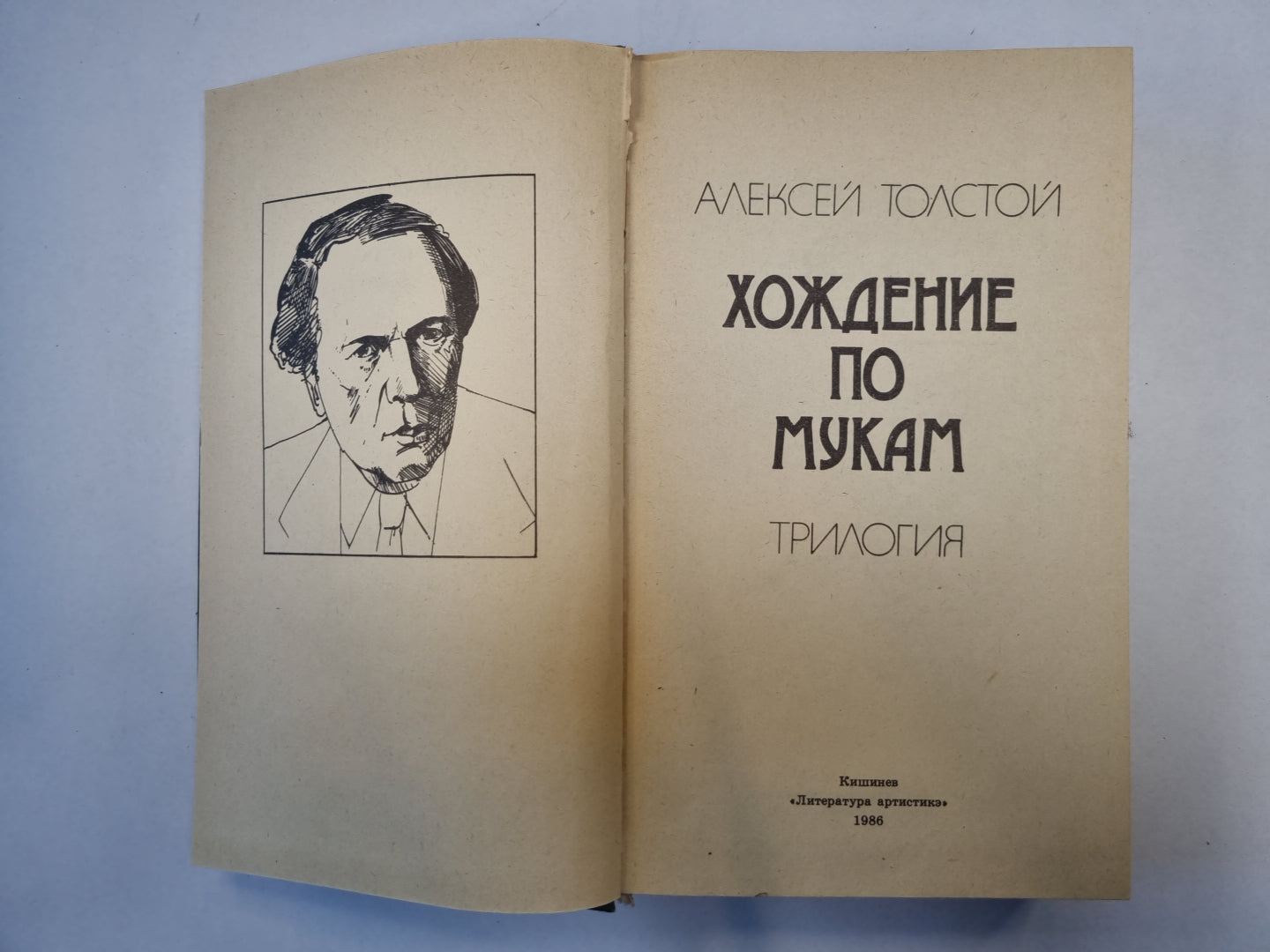 Хождение по мукам