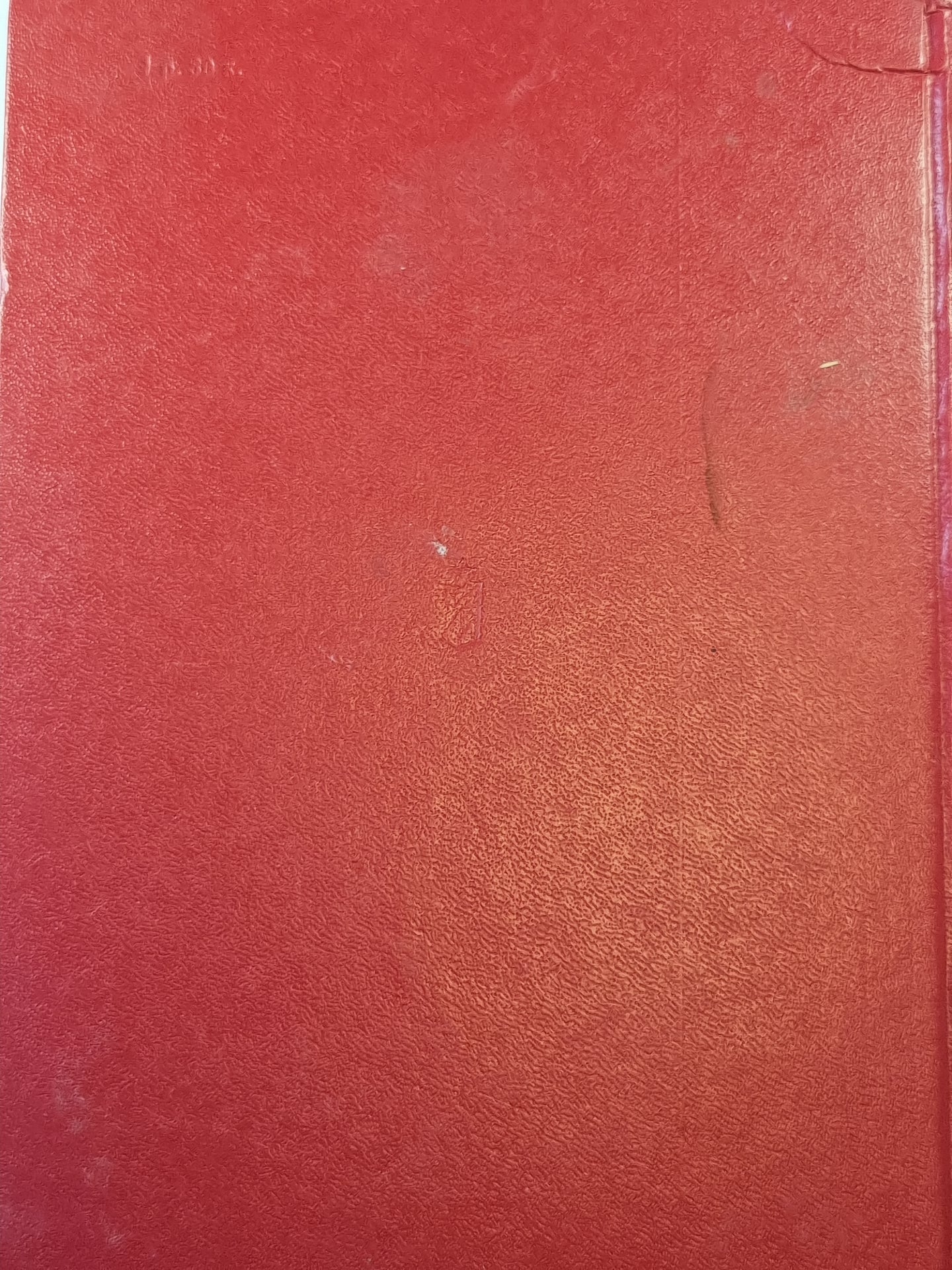 Зарницы красного лета