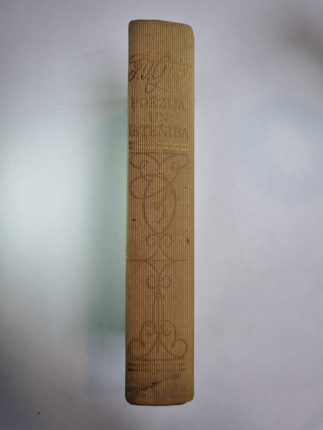 Poēzija un īstenība