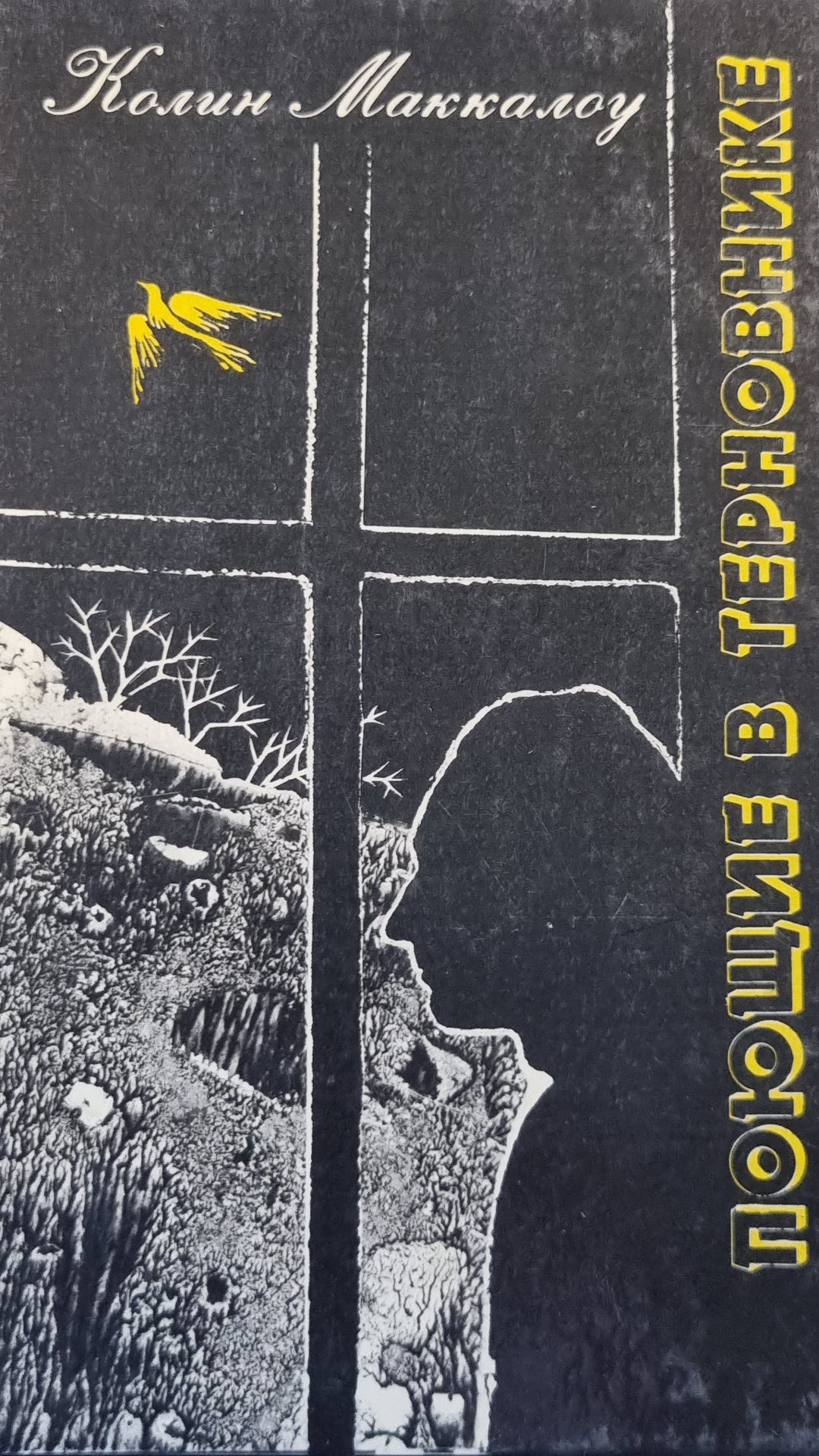 Поющие в тренировке