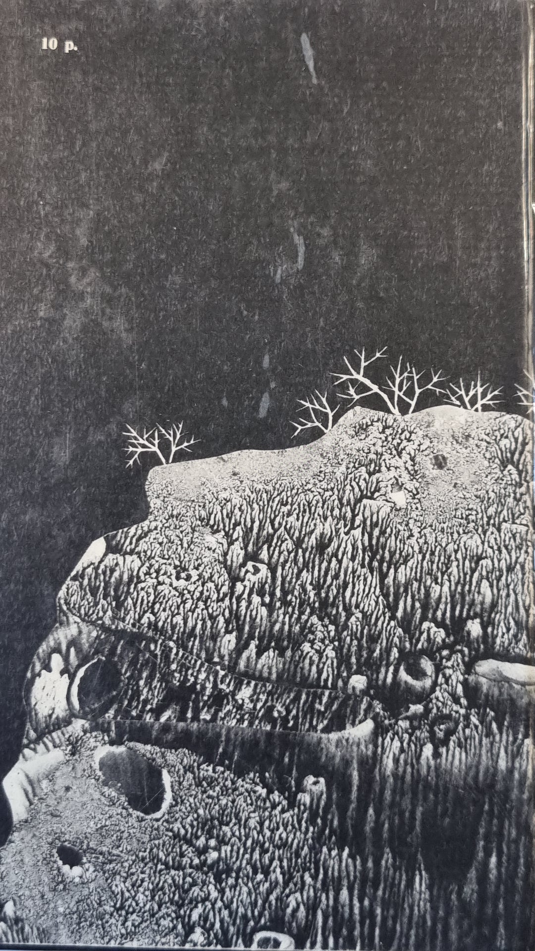 Поющие в тренировке