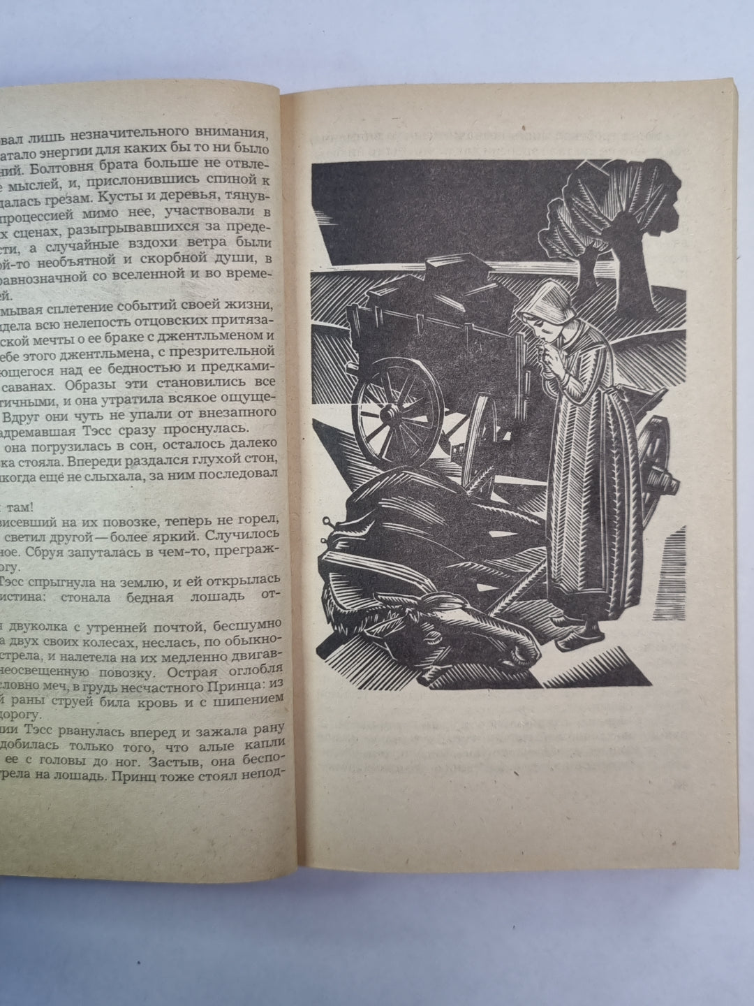 Тэсс из рода Д''Эрбервиллей