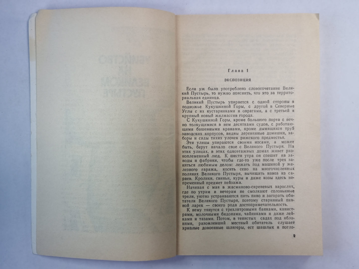 Убийство на великом пустыре. Рассказы