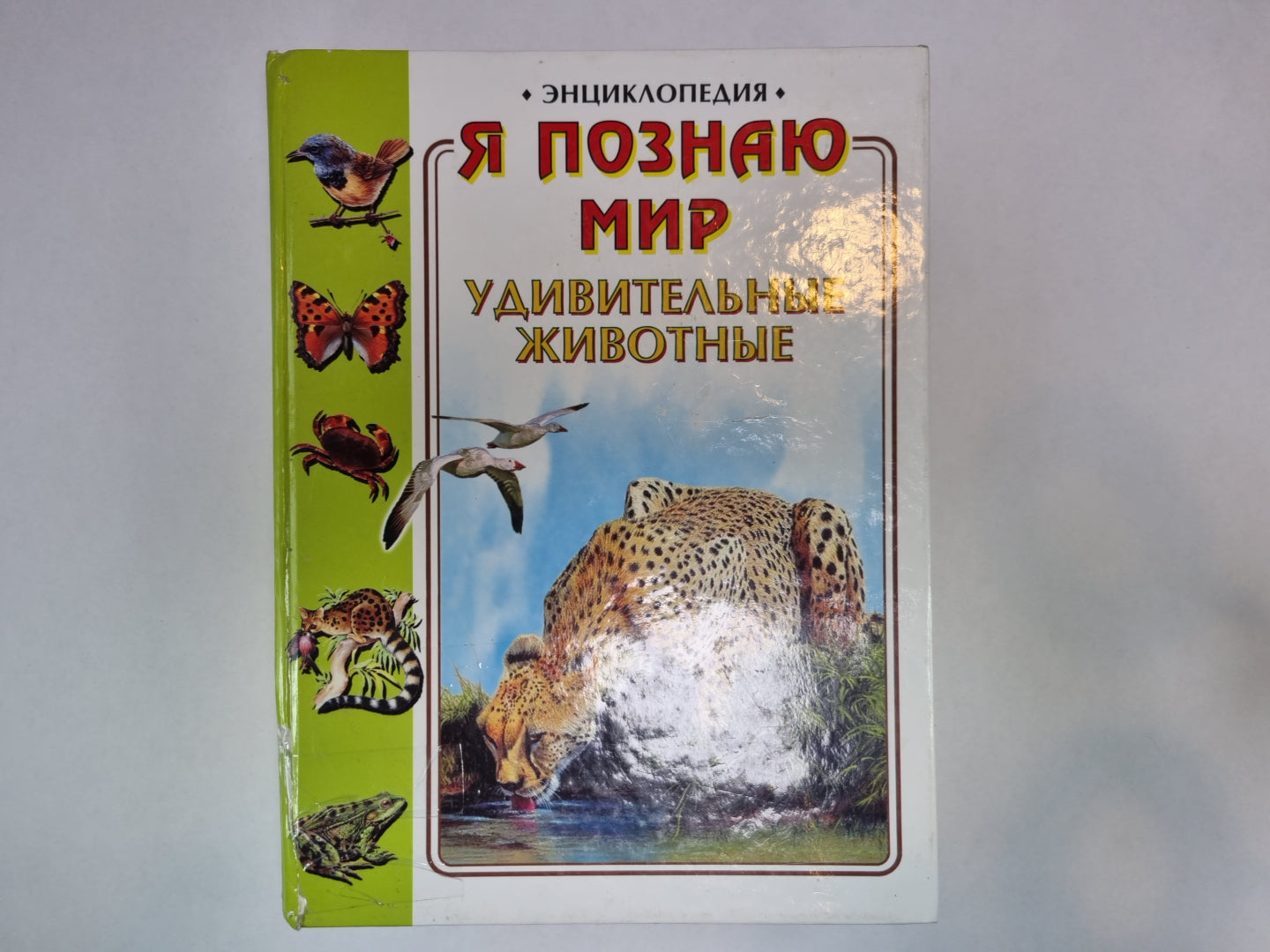 Я познаю мир. Энциклопедия для детей. Удивительные животные