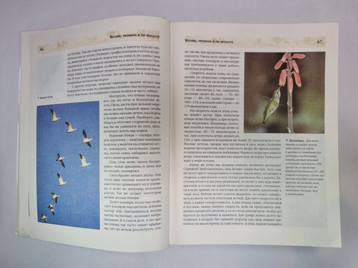 Я познаю мир. Энциклопедия для детей. Удивительные животные