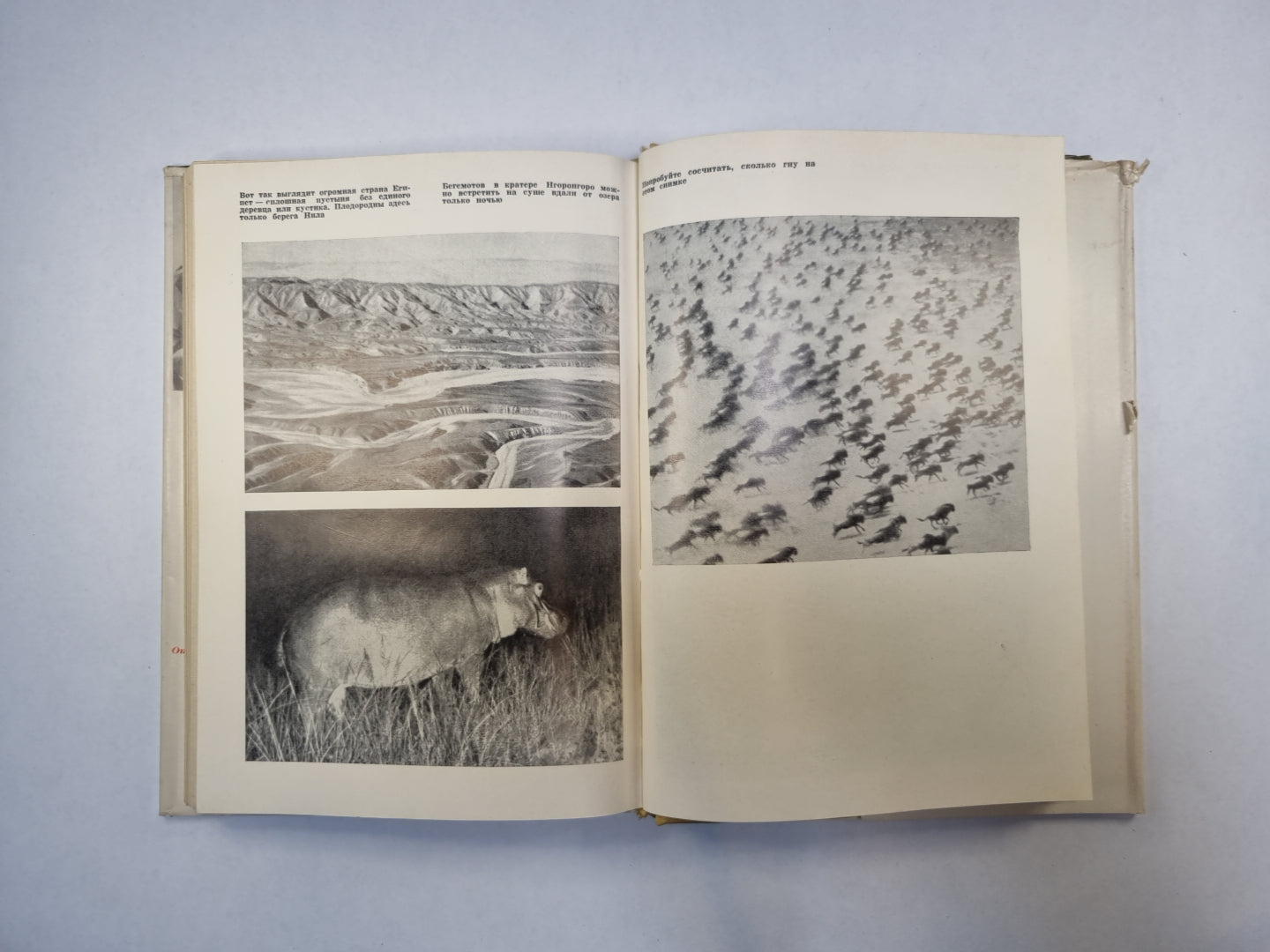 Серенгети не должен умереть