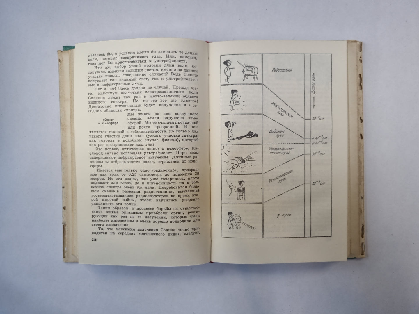 Силы в природе