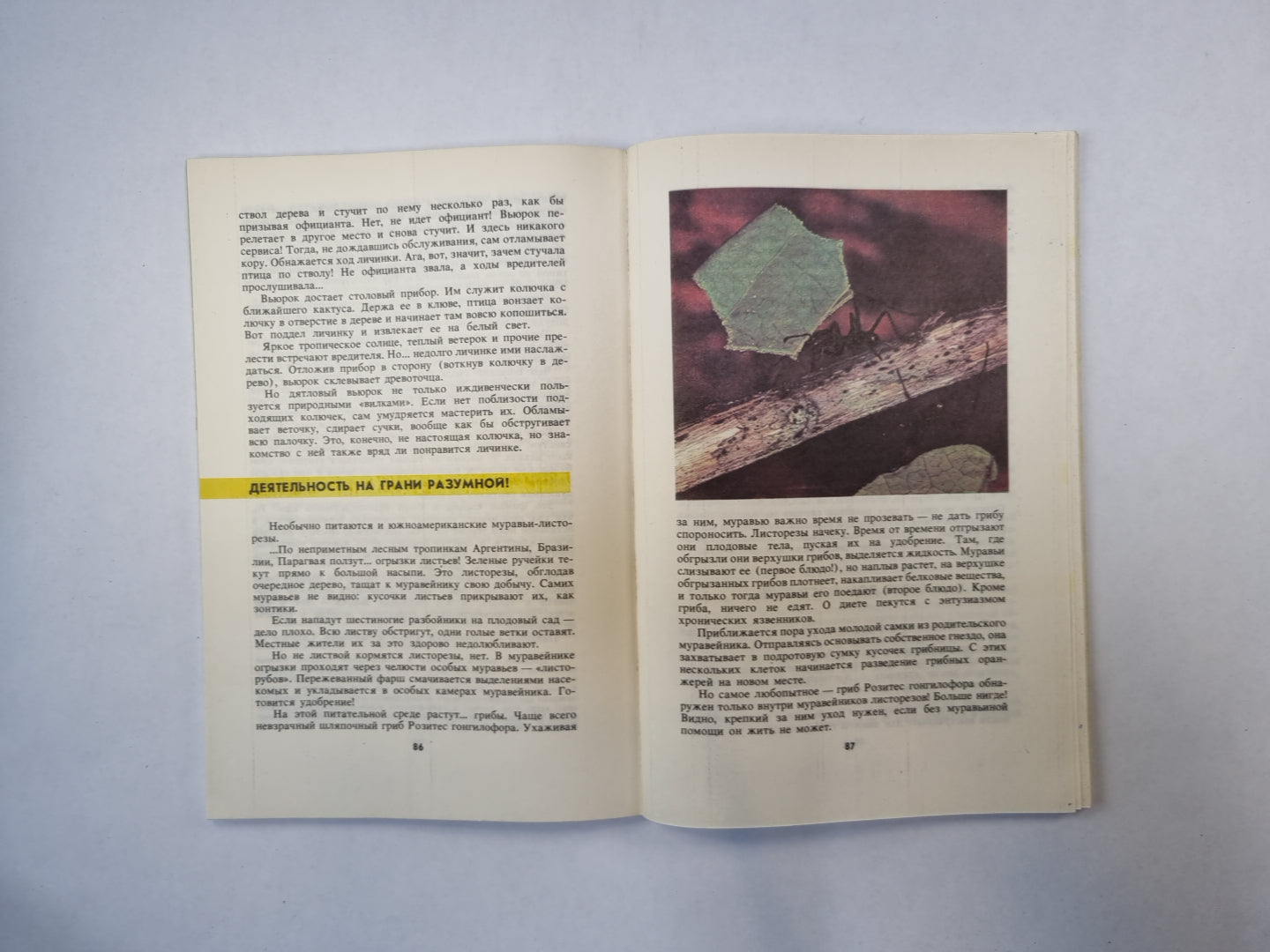 Причуды природы 2. "Зеленая полка" - Приложение к журналу "Юный натуралист"