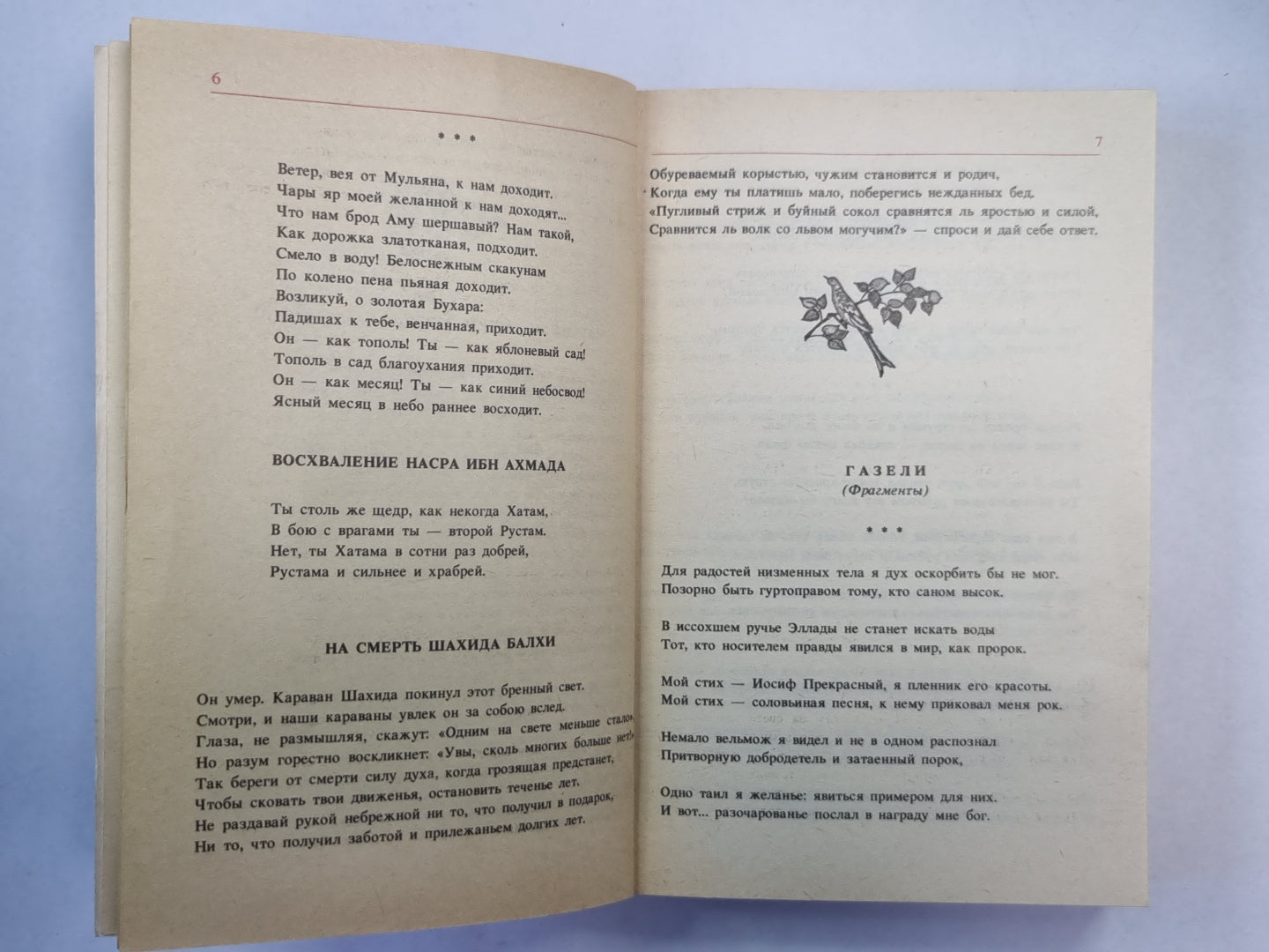 Лирика. Из персидско-таджикской поэзии